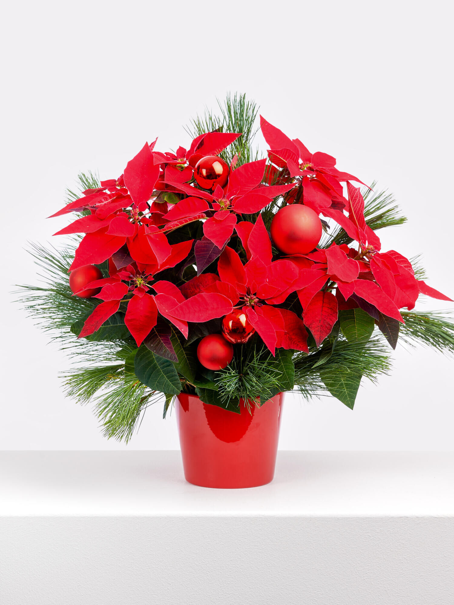 Glücksstern - Hauptfarbe: Rot