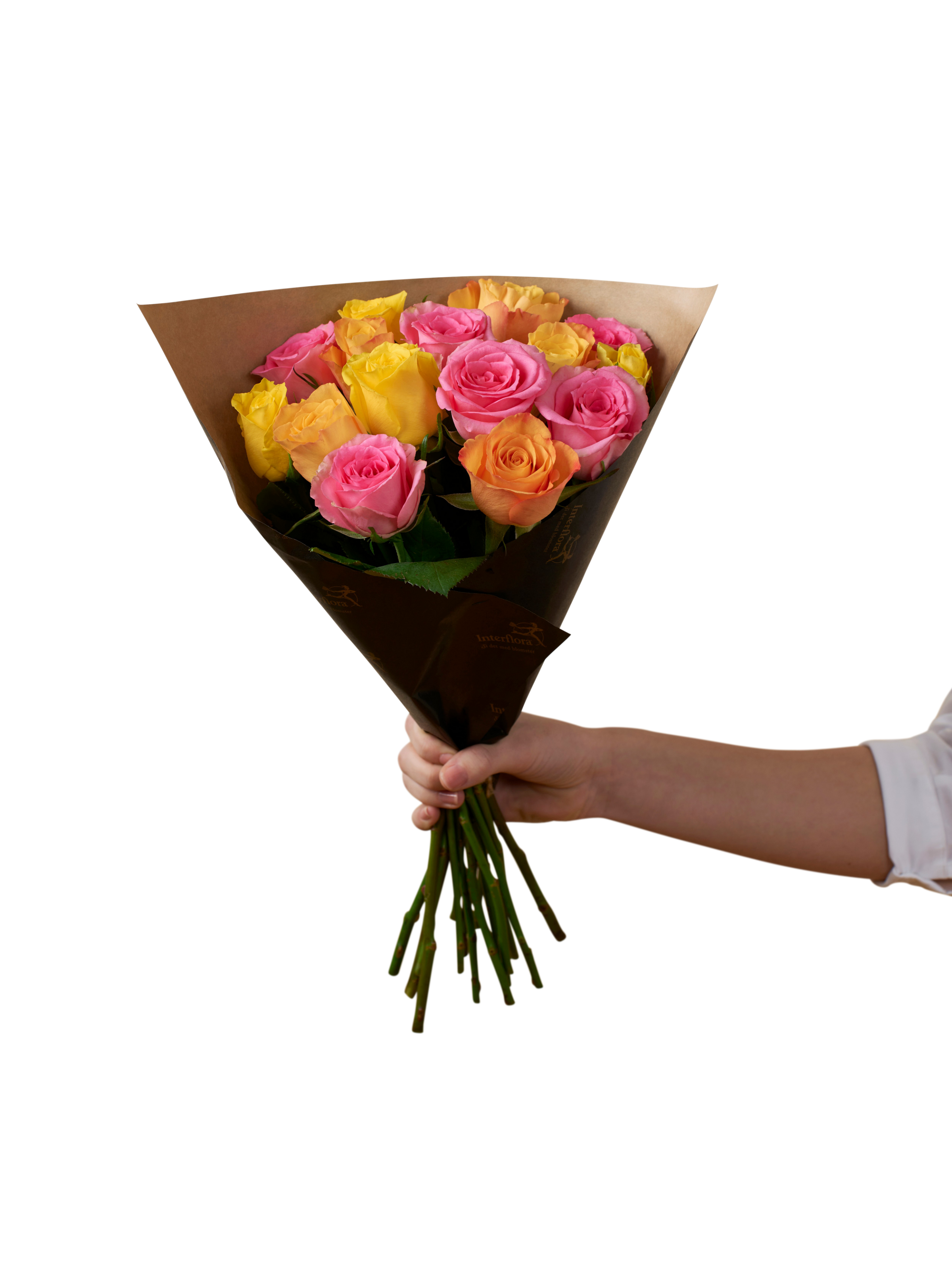 Roses for spring 242625