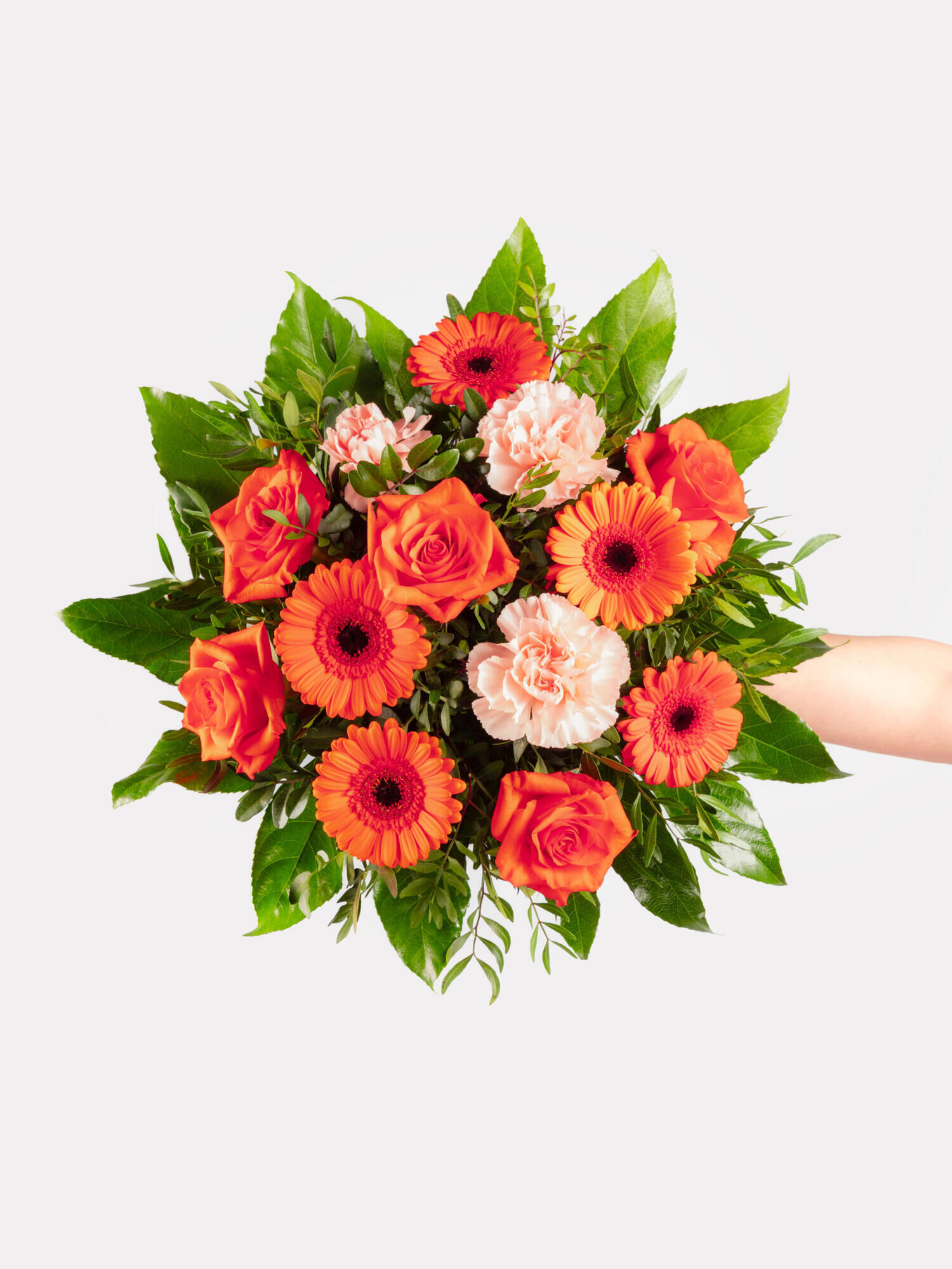 Strauß der Woche - Hauptblüte: Germini, Nelken, Rosen - Hauptfarbe: Apricot, Orange