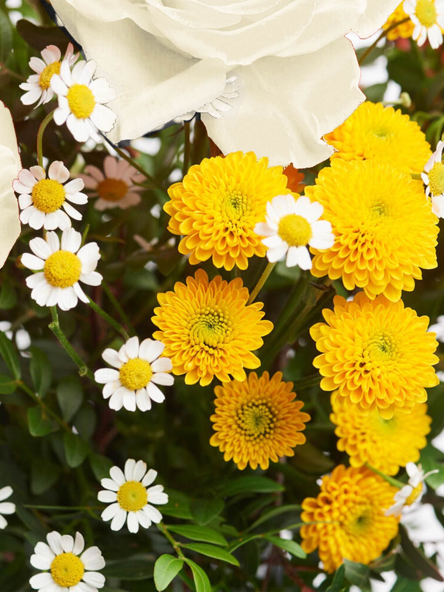 Strauß der Woche - Hauptblüte: Rosen - Hauptfarbe: Gelb, Weiß