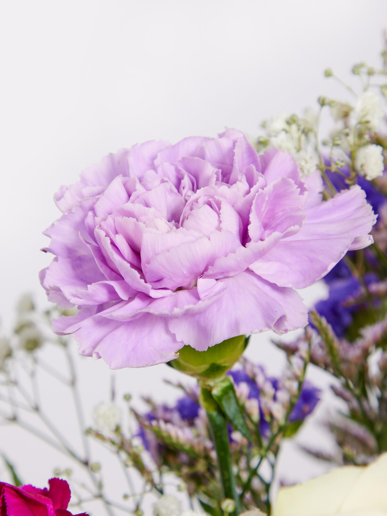 Congratulations - Main Colors: PURPLE, WHITE - Main Flowers: CARNATIONS, ROSES