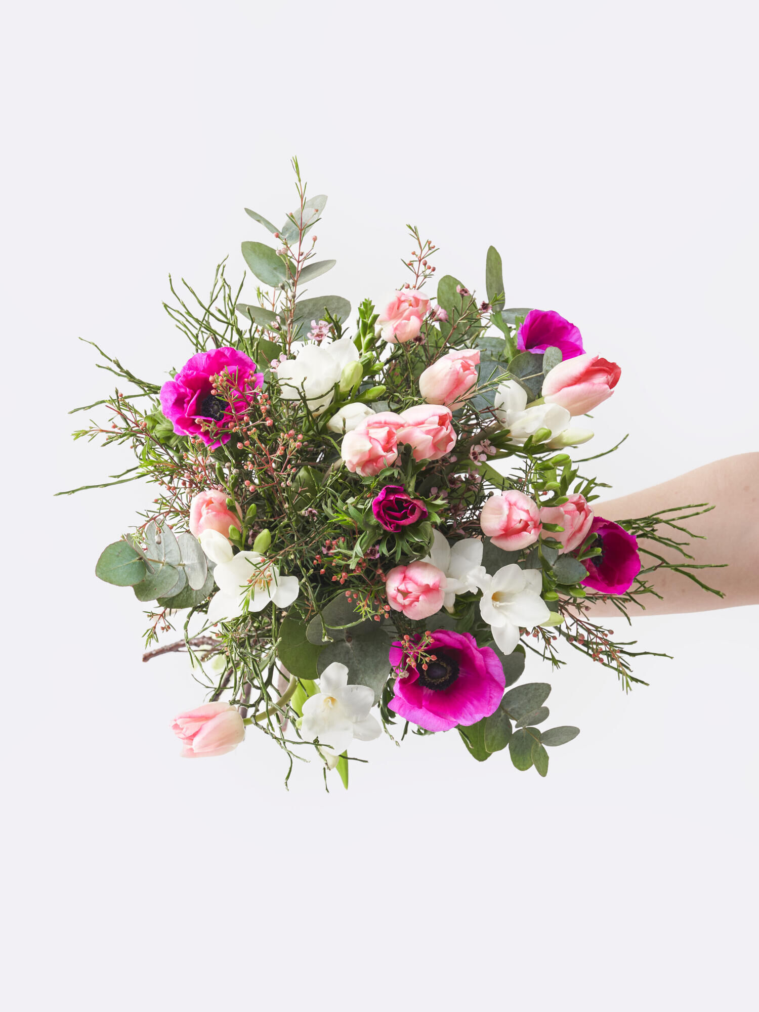 Frühjahrsbote - Hauptblüte: Freesien, Tulpen - Hauptfarbe: Pink, Rosa, Violett