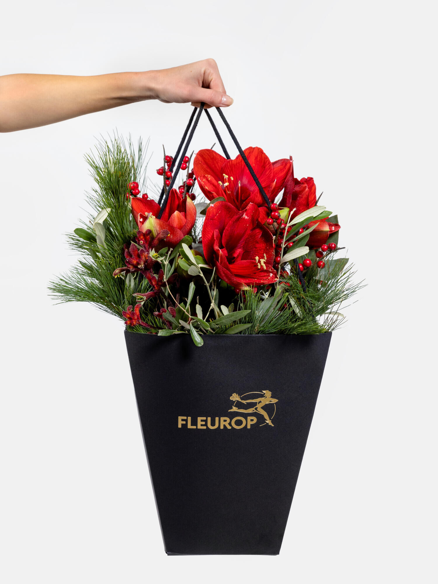 Feierliche Vorfreude Feierliche Vorfreude - Hauptblüte: Amaryllis - Hauptfarbe: Rot