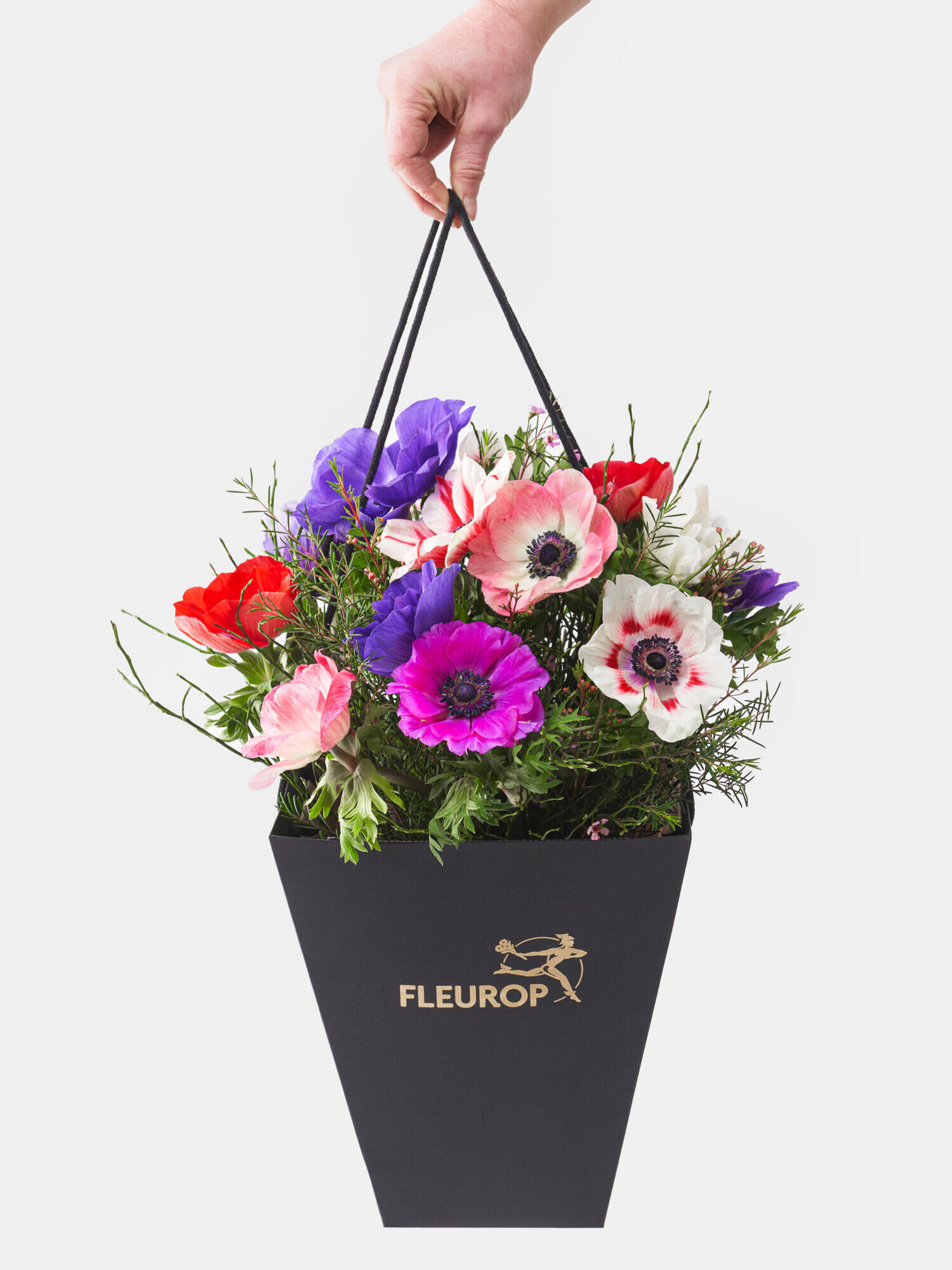 Farbenpracht - Hauptfarbe: Pink, Rot, Violett, Weiß