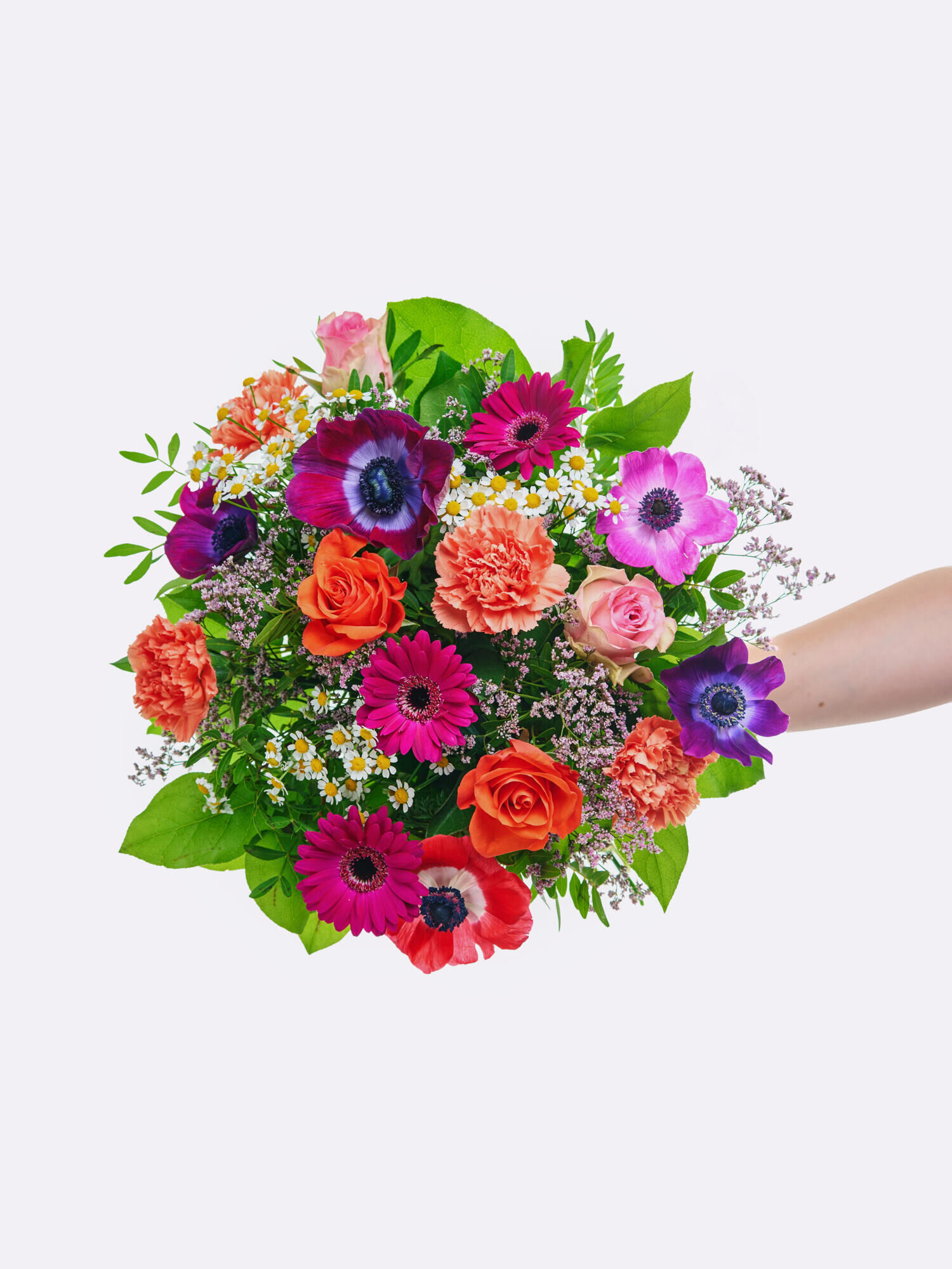 Frühlingsduft - Hauptblüte: Germini, Nelken, Rosen - Hauptfarbe: Bunt