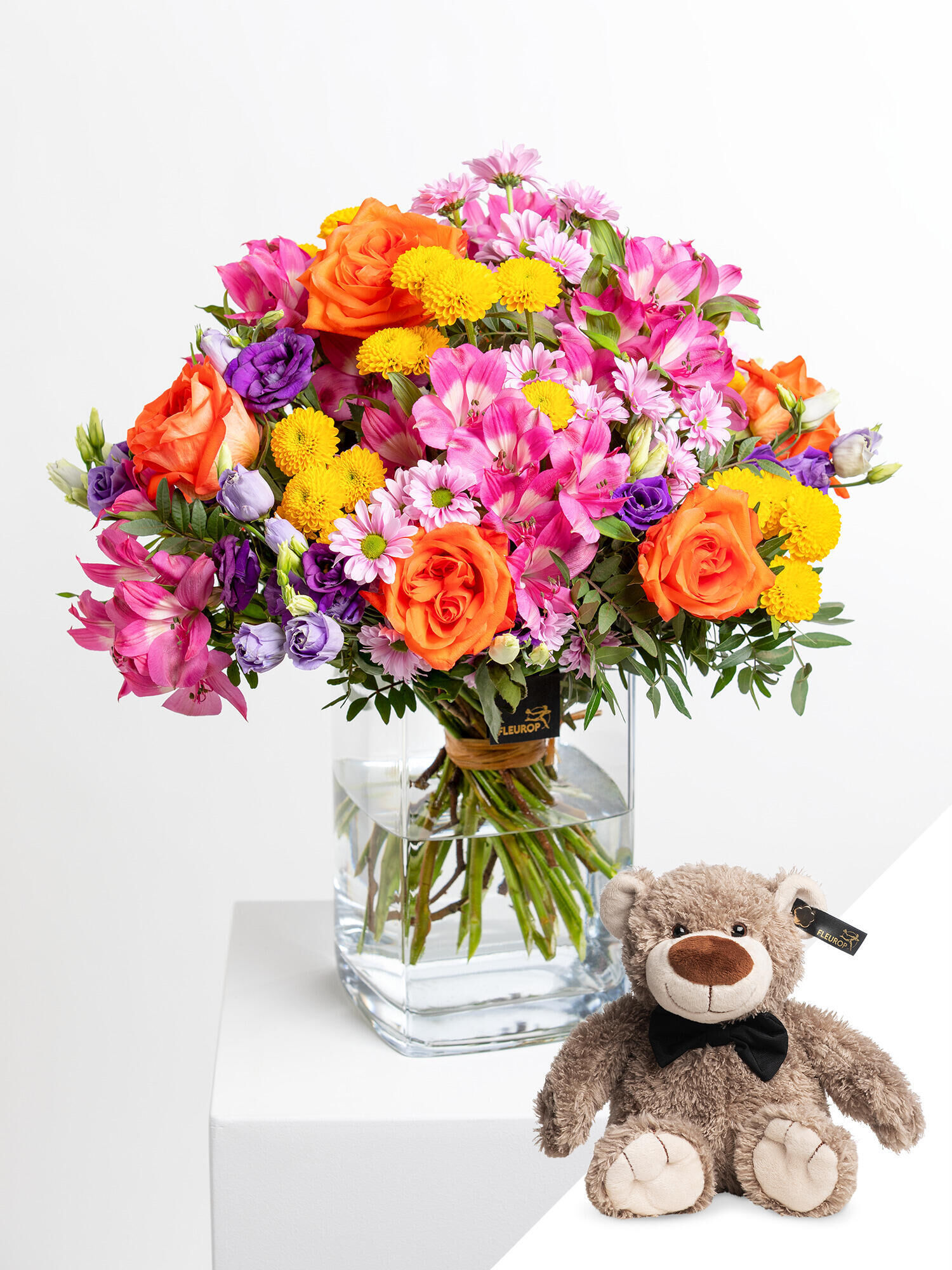 Bunte Geburtstagsfreude mit Teddy