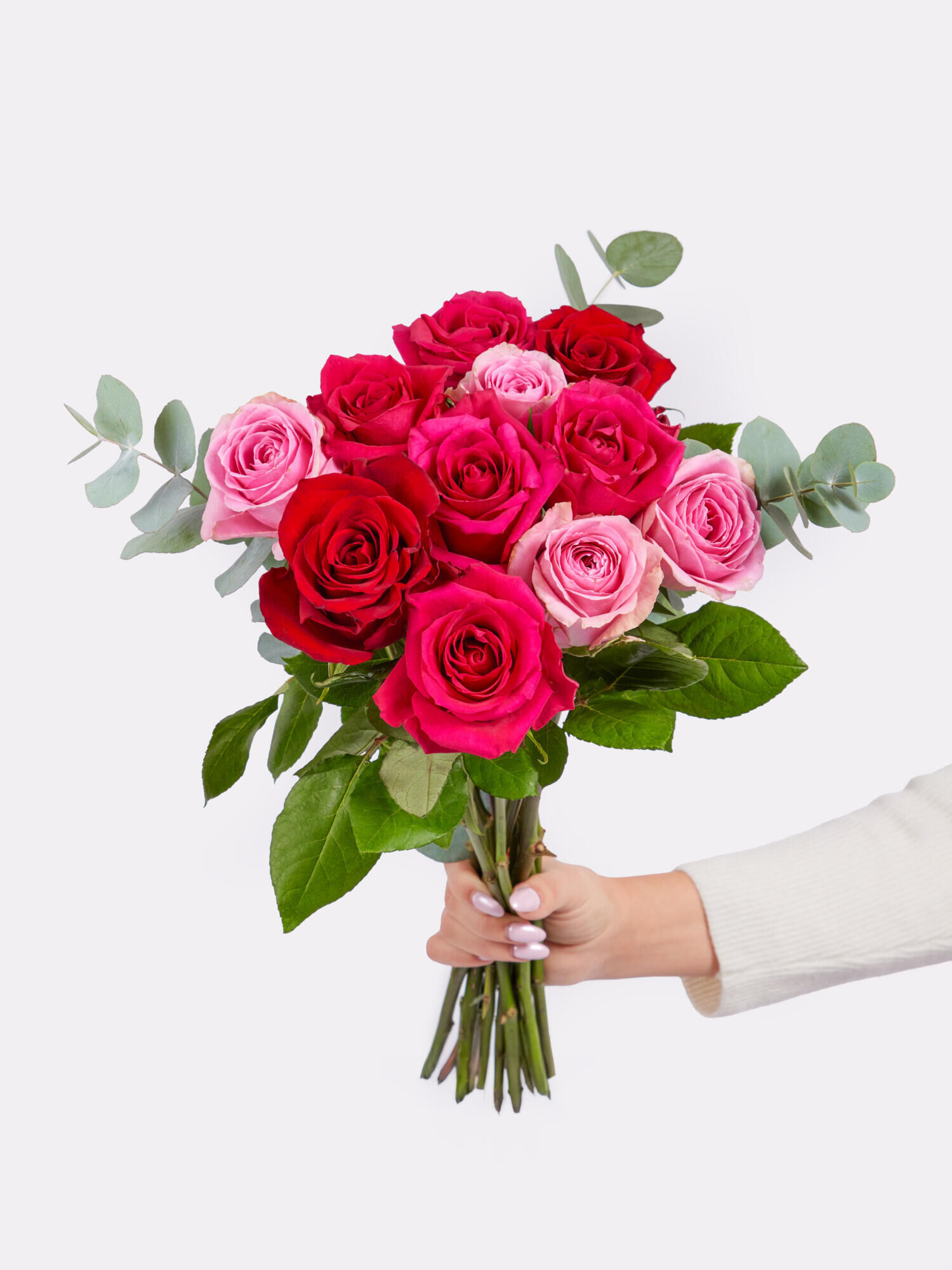 Lovely  - Hauptblüte: Rosen - Hauptfarbe: Rosa, Rot