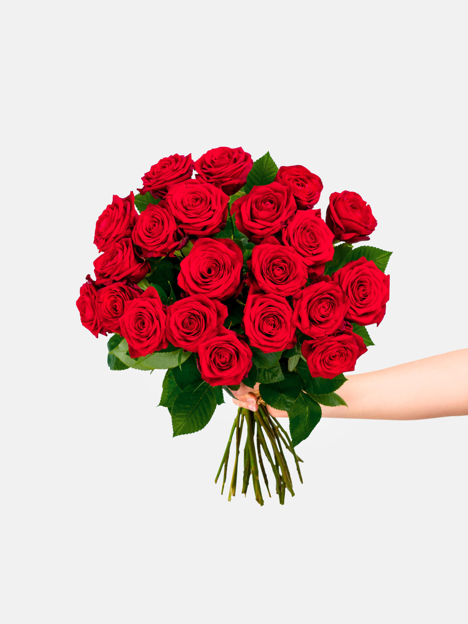 Rosenwunder - Hauptblüte: Rosen - Hauptfarbe: Rot