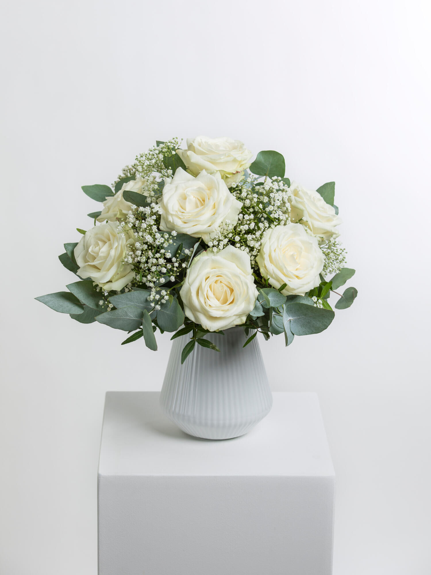 Ivory Dream - Hauptblüte: Rosen - Hauptfarbe: Weiß