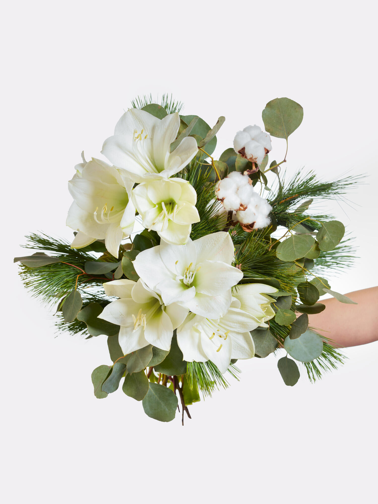 Magic White Magic White - Main Colors: WHITE - Main Flowers: AMARYLLIS