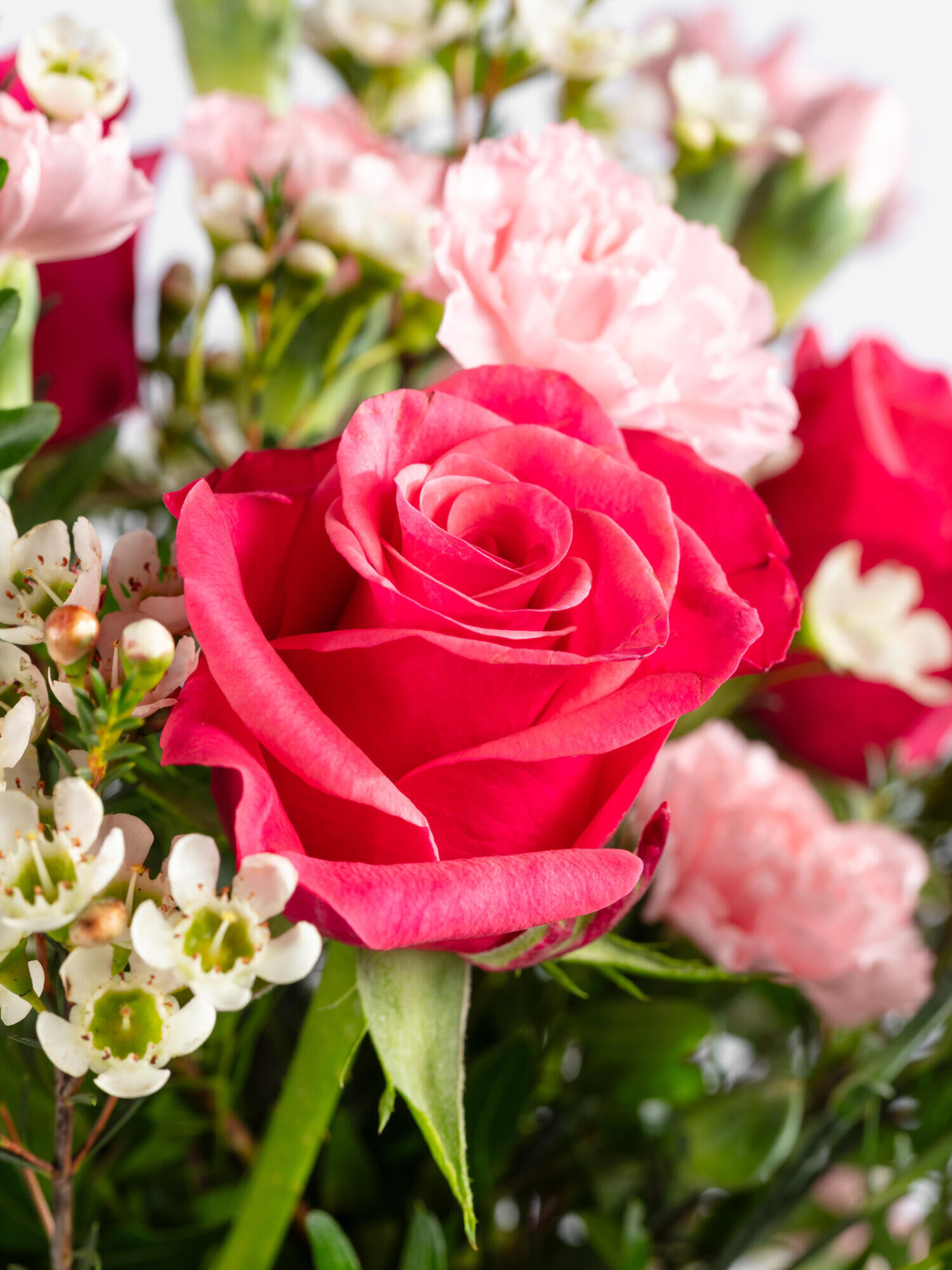 Strauß der Woche - Hauptblüte: Nelken, Rosen - Hauptfarbe: Rosa