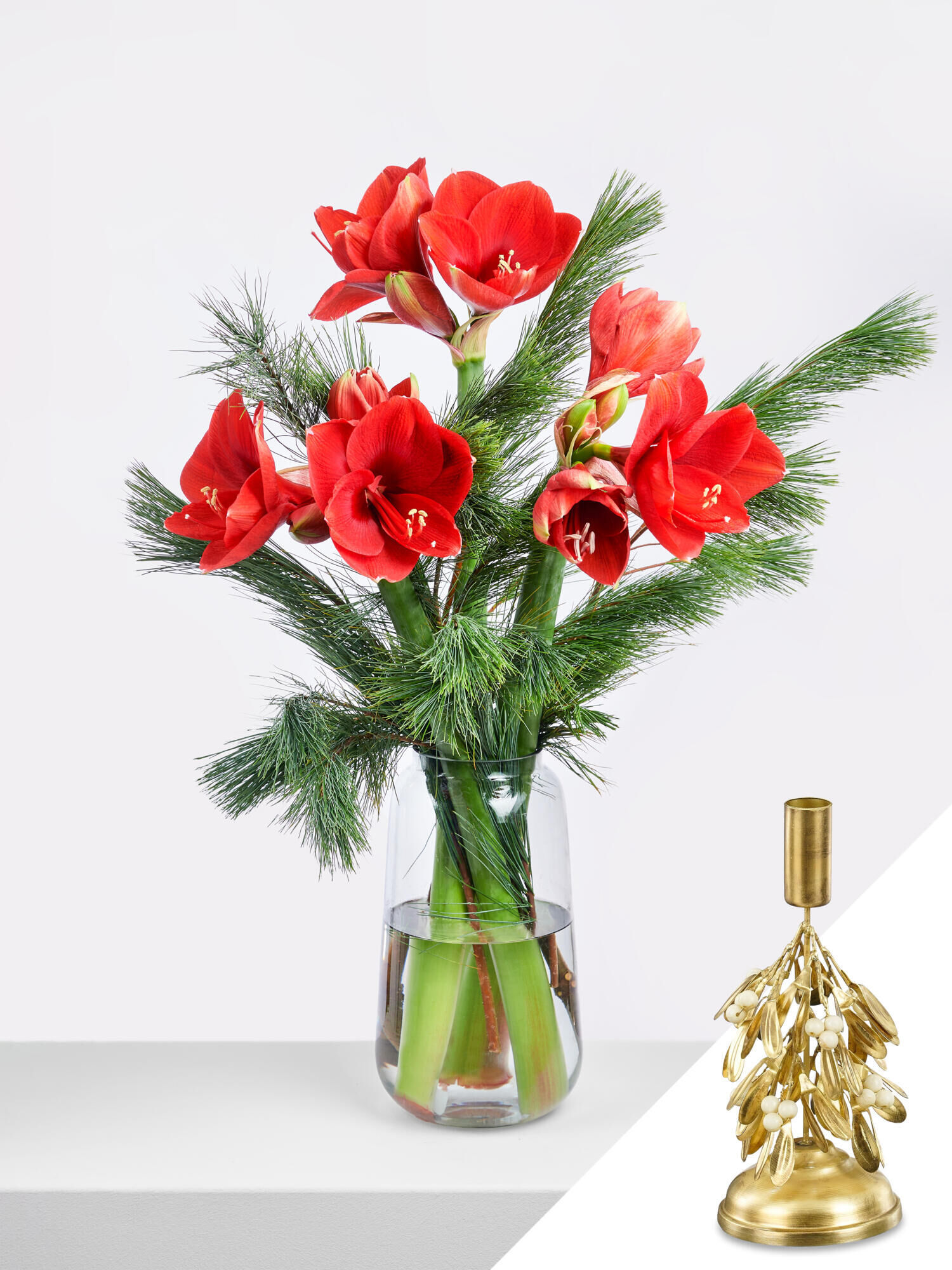 Red Christmas Delight - Hauptblüte: Amaryllis - Hauptfarbe: Rot