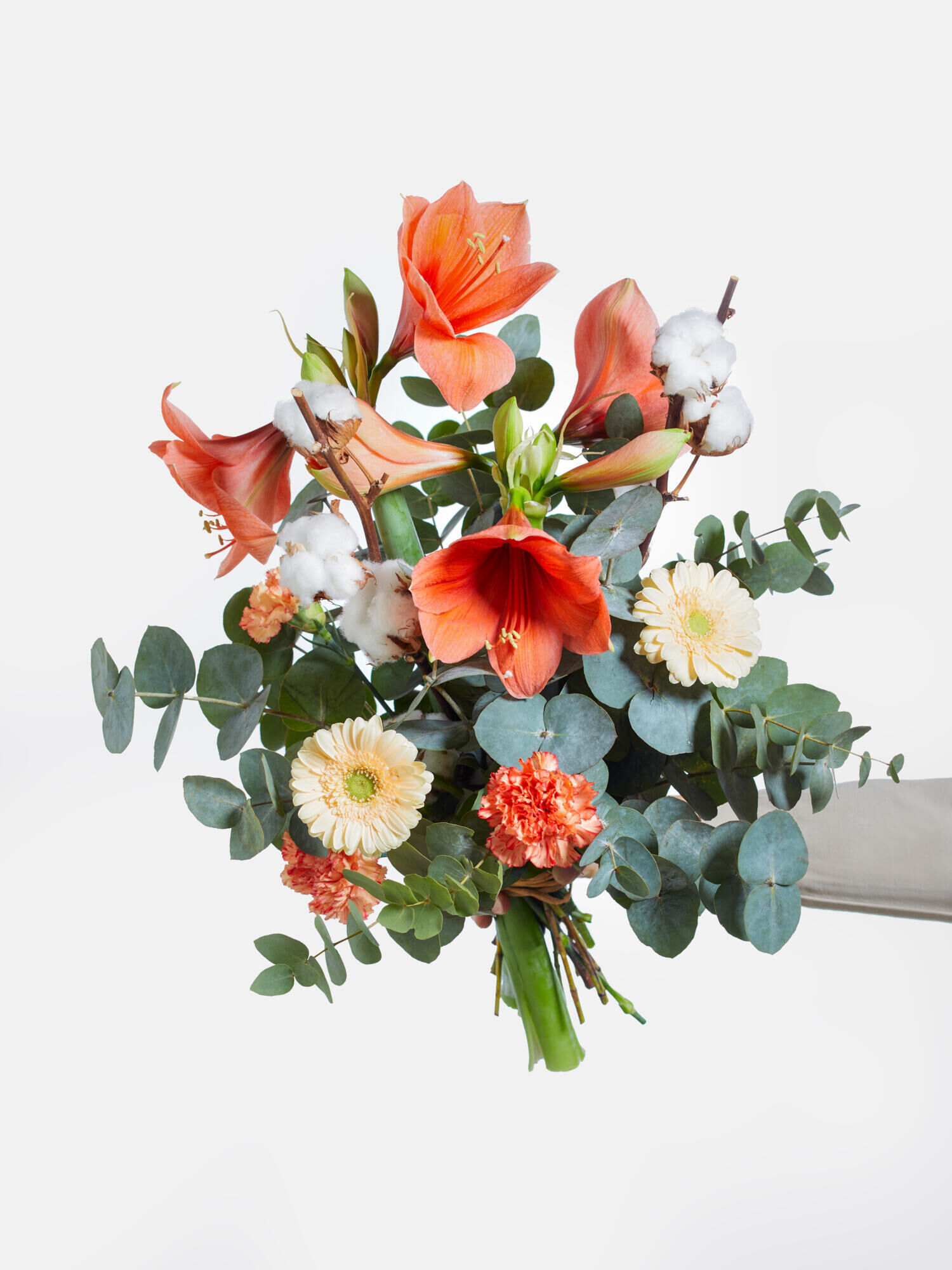 Zimt und Zauber Zimt und Zauber - Hauptblüte: Amaryllis, Germini, Nelken - Hauptfarbe: Apricot