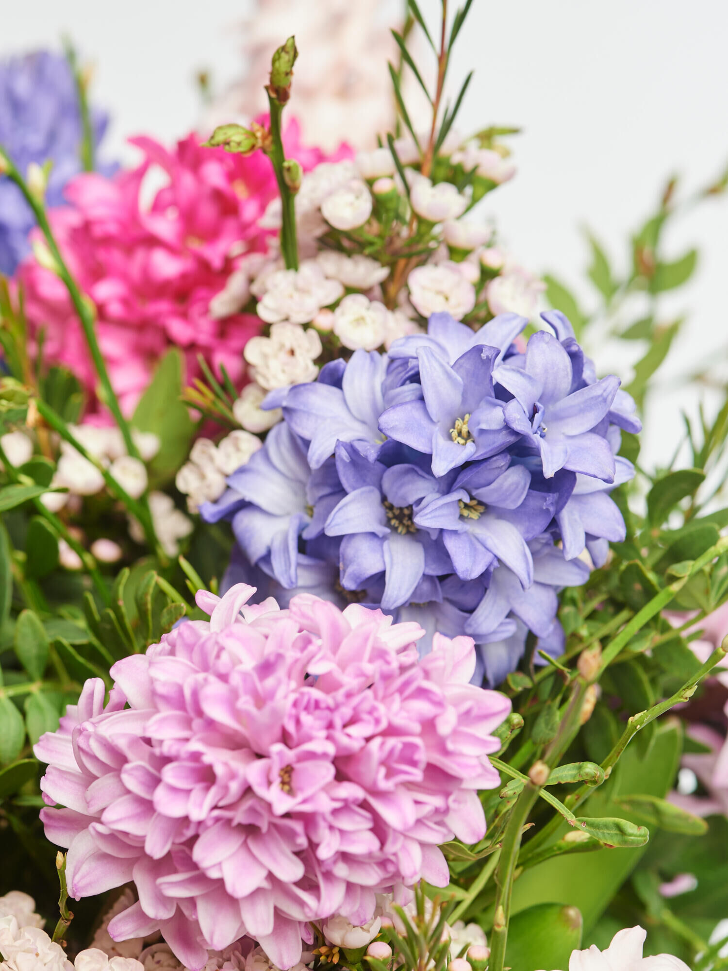 Duftmomente - Hauptblüte: Hyazinthen - Hauptfarbe: Pink, Rosa, Violett