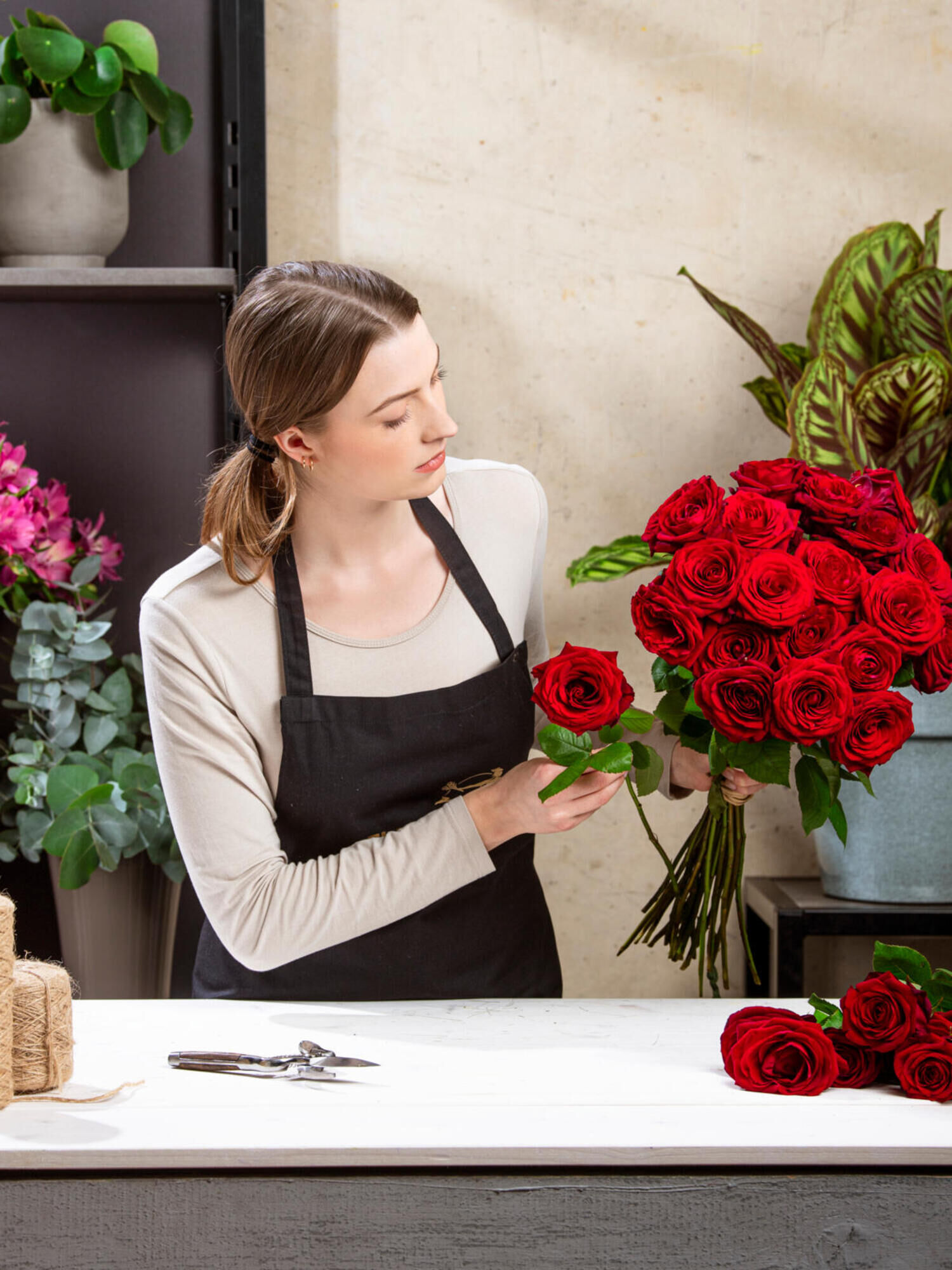 Cavalier of Roses - Main Colors: RED - Main Flowers: ROSES