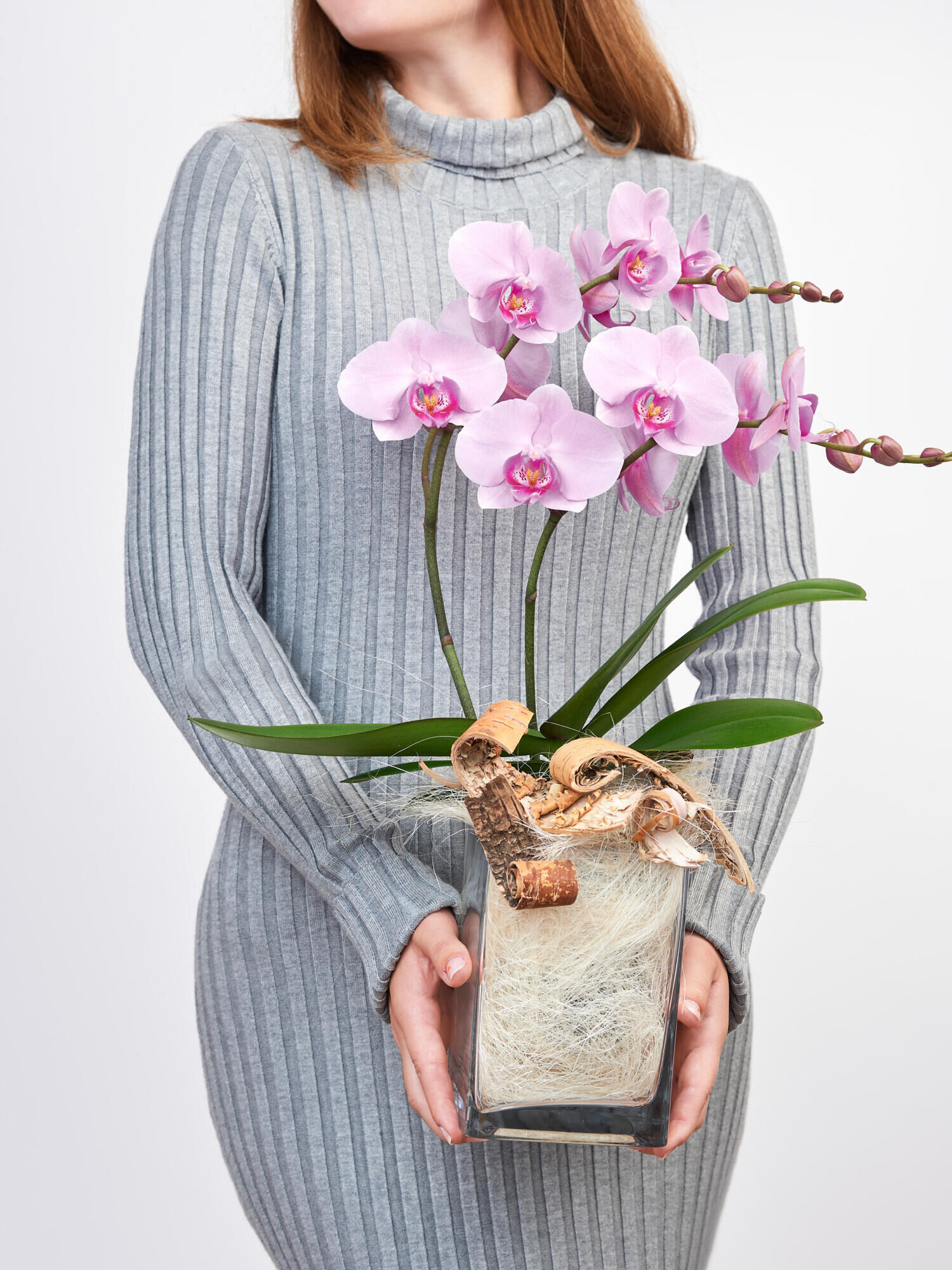 Pinke Orchidee in Vase mit Flachs