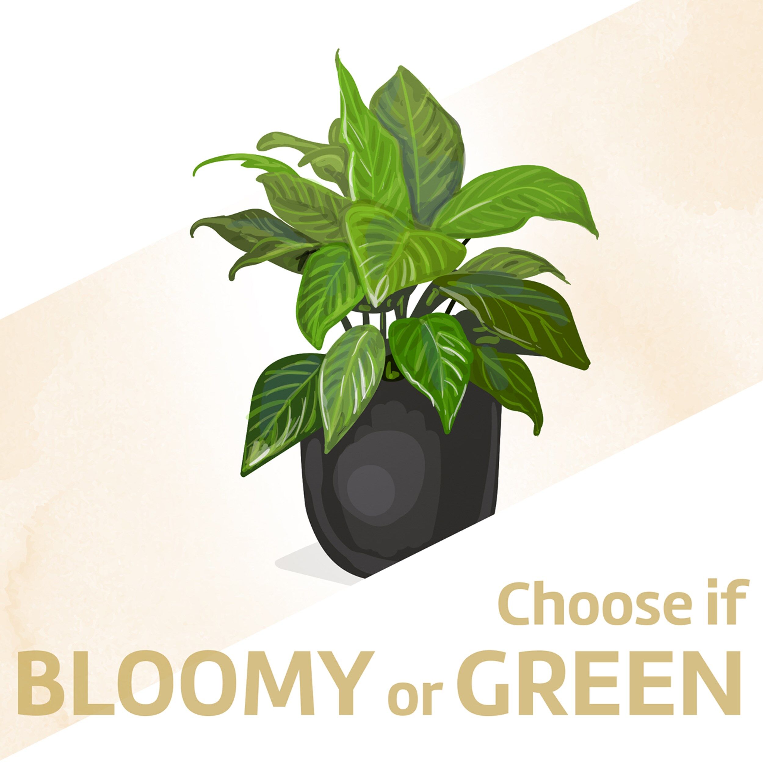 Single Green Plant