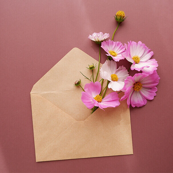 Geburtstagskarten Texte Ein brauner Umschlag liegt geöffnet auf einem rosafarbenen Hintergrund. Aus dem Umschlag ragen mehrere rosa-weiße Blüten mit gelben Staubgefäßen heraus.