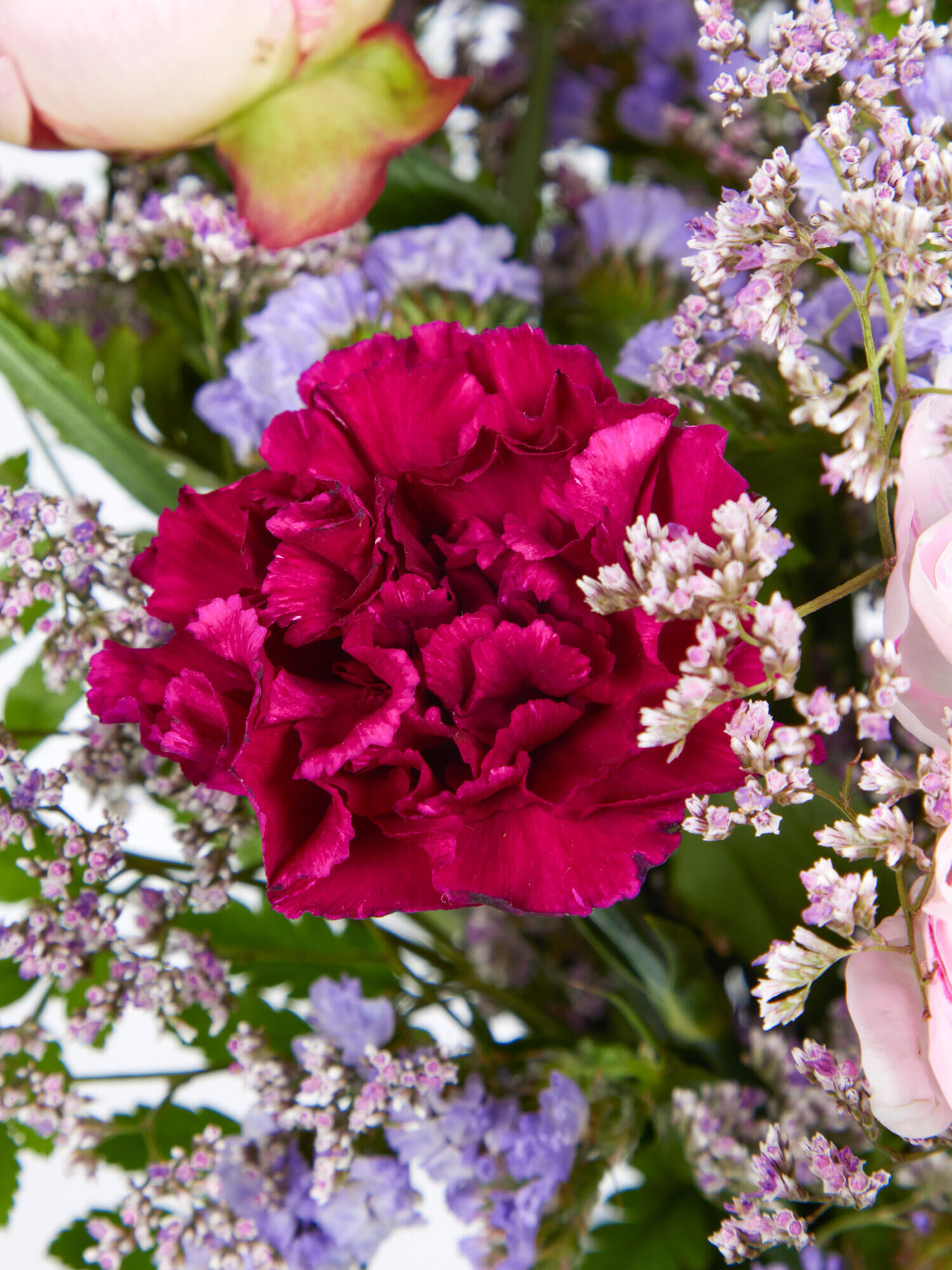 Peony Magic - Main Colors: PURPLE, ROSE - Main Flowers: CARNATIONS, PEONIES