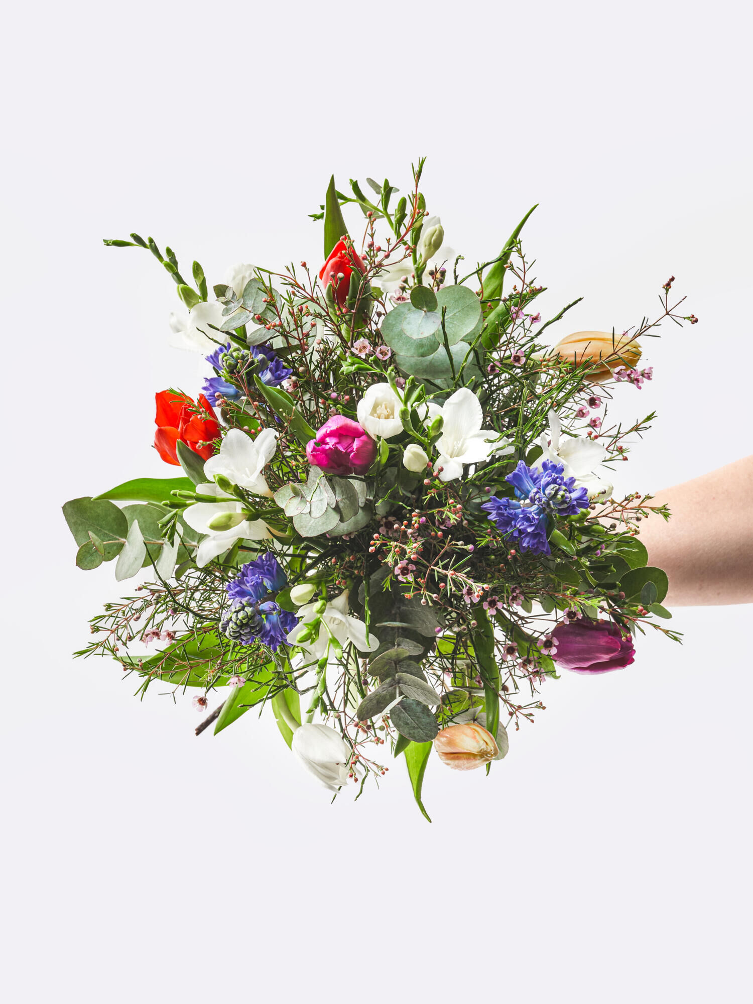 Blumiges Erwachen - Hauptblüte: Freesien, Hyazinthen, Tulpen - Hauptfarbe: Bunt