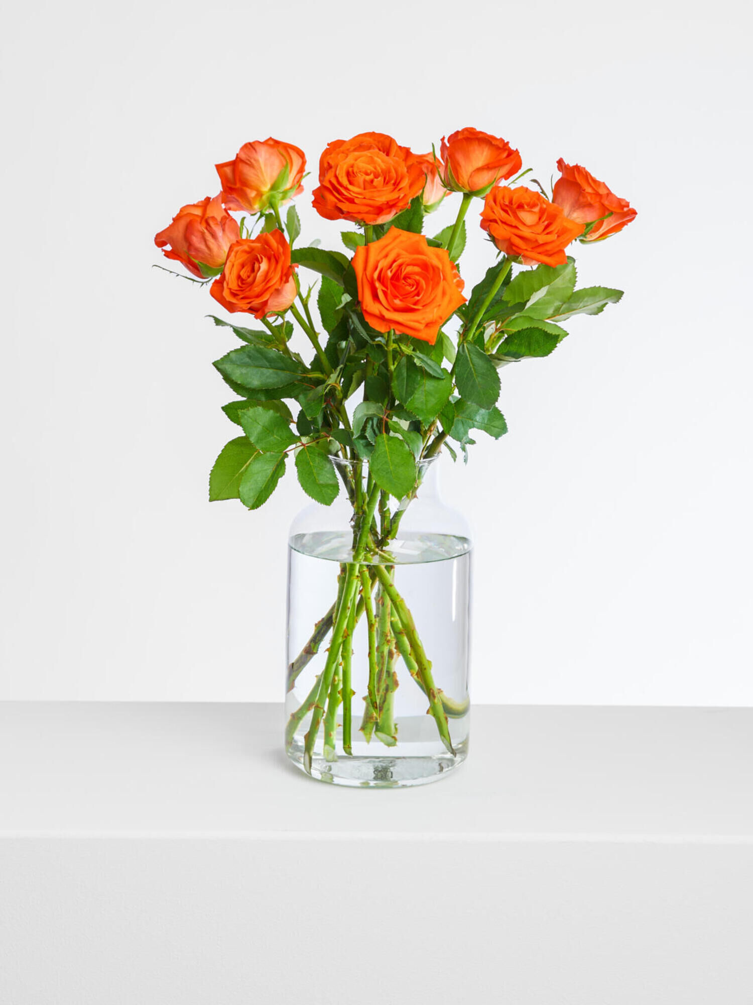 Miss Apricot - Hauptblüte: Rosen - Hauptfarbe: Orange