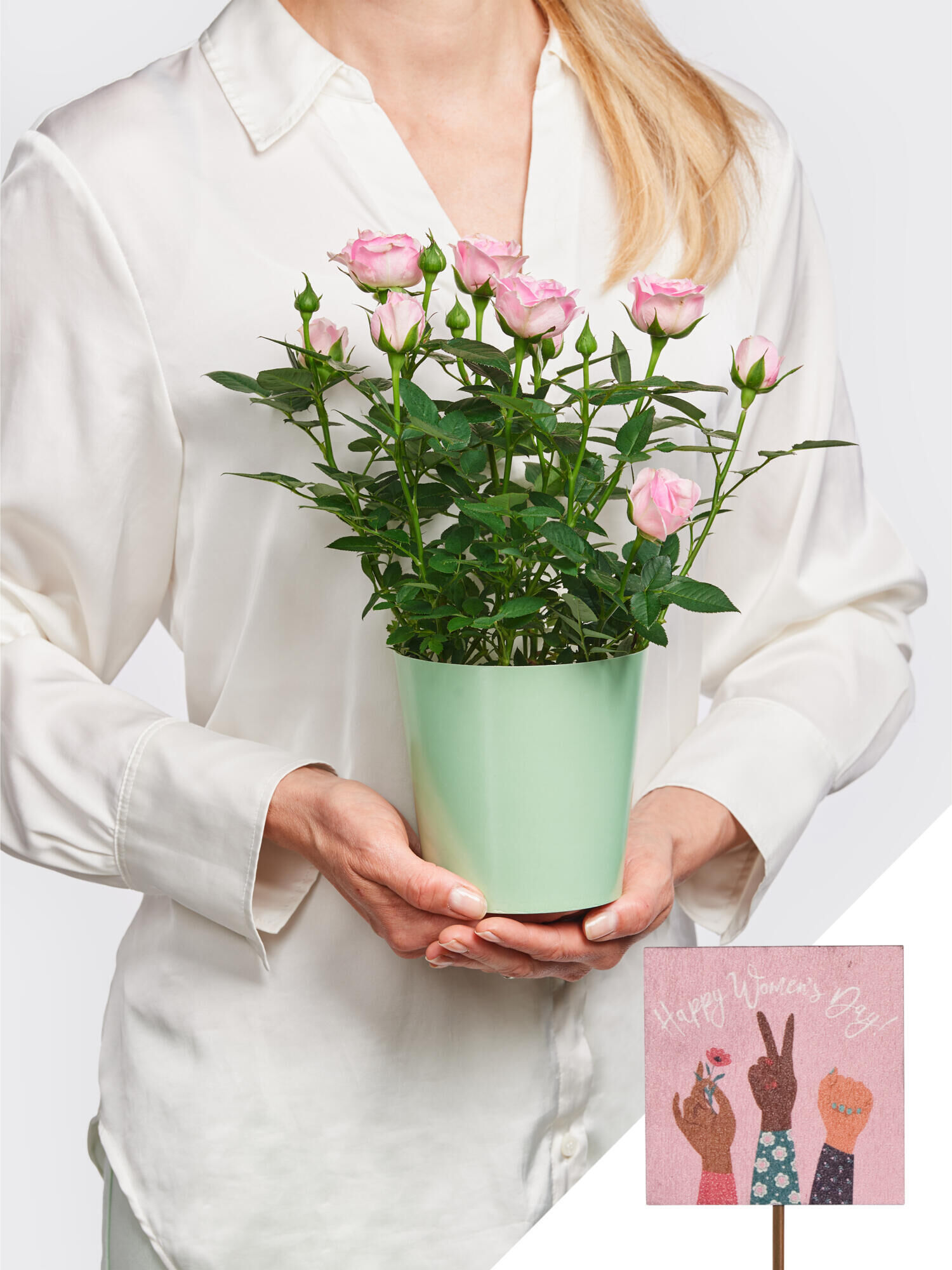 Happy Women's Day - Hauptblüte: Rosen - Hauptfarbe: Rosa