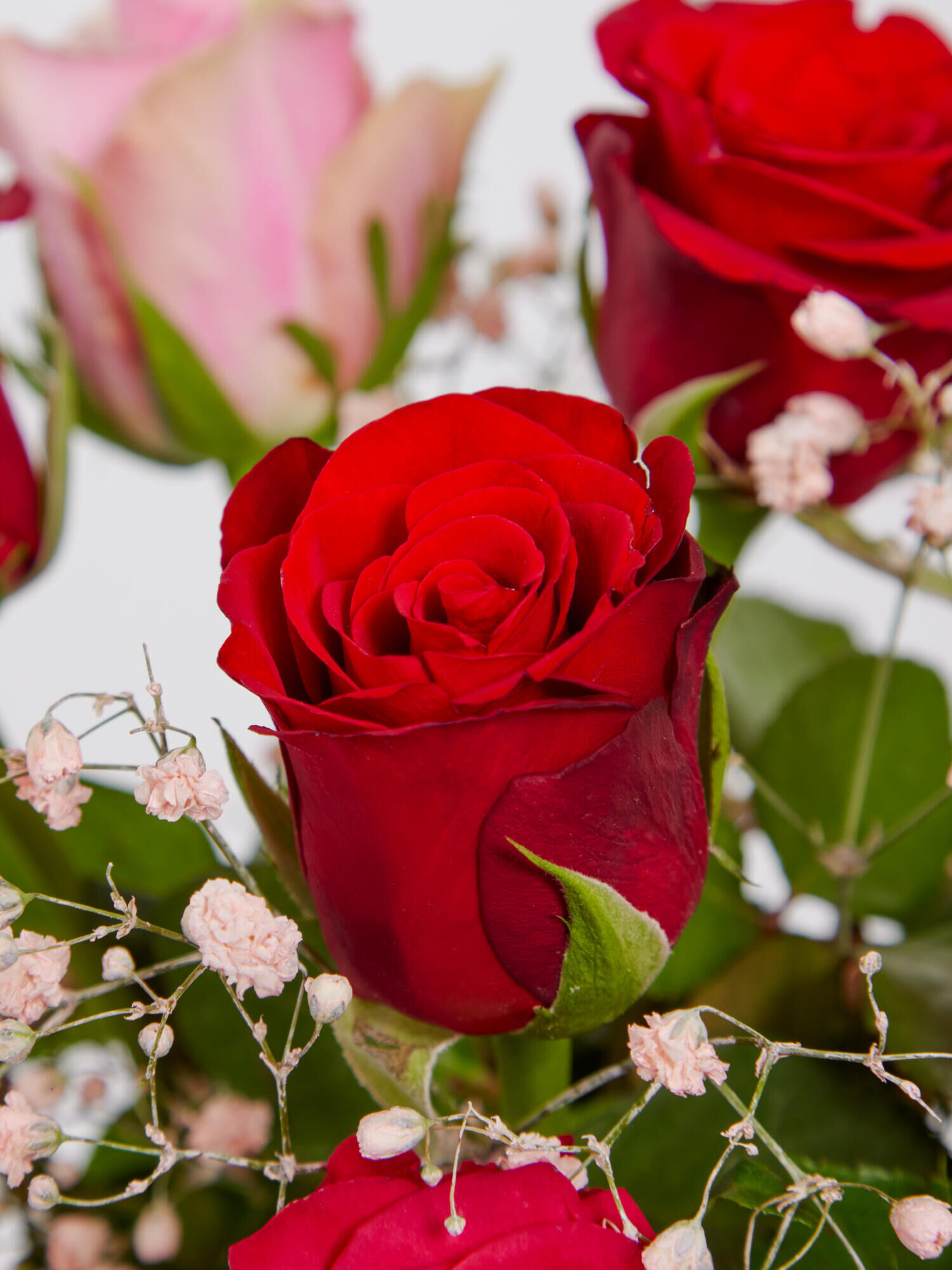 Sweet Roses - Hauptblüte: Rosen - Hauptfarbe: Rosa, Rot