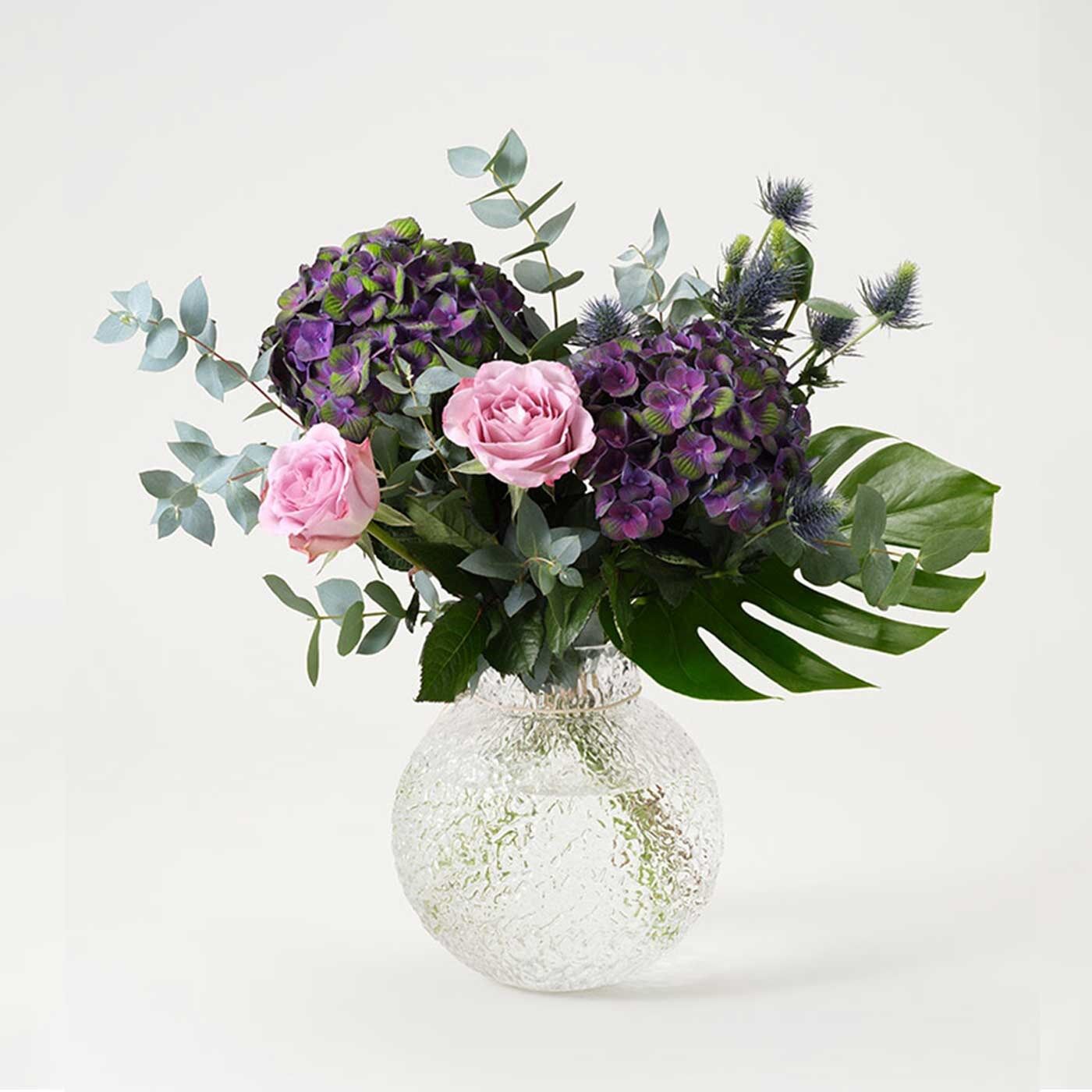 Hydrangea Dream