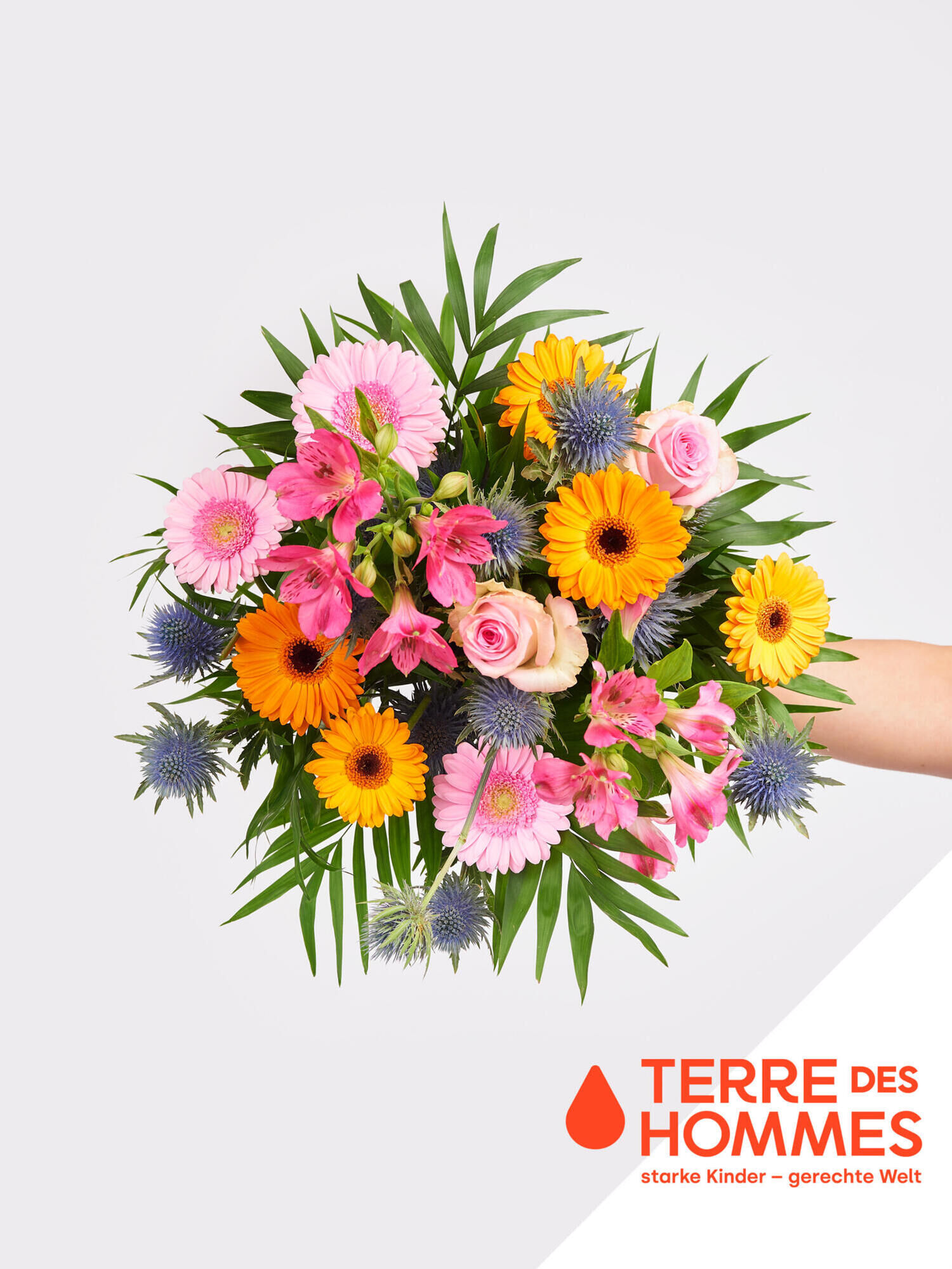 Charity Strauß - Hauptblüte: Alstromerien, Germini, Rosen - Hauptfarbe: Blau, Orange, Pink, Rosa