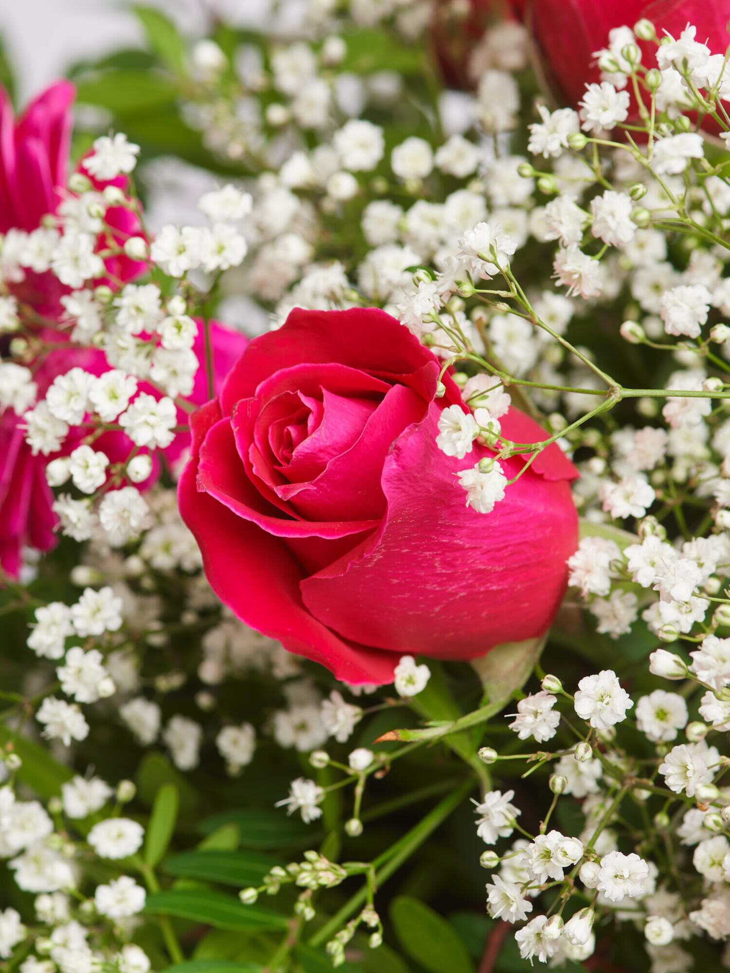 Strauß der Woche - Hauptblüte: Germini, Rosen - Hauptfarbe: Pink, Rosa