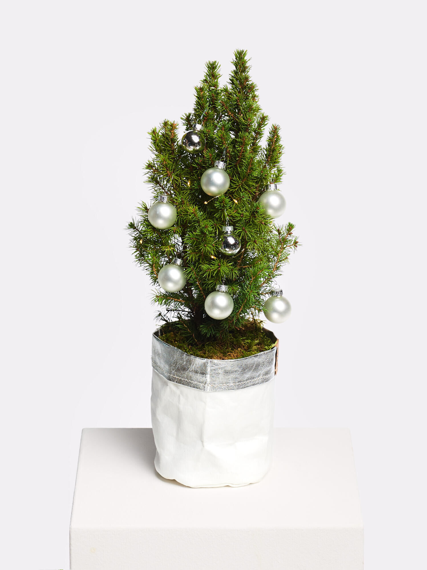 Weiße Weihnacht Weiße Weihnacht