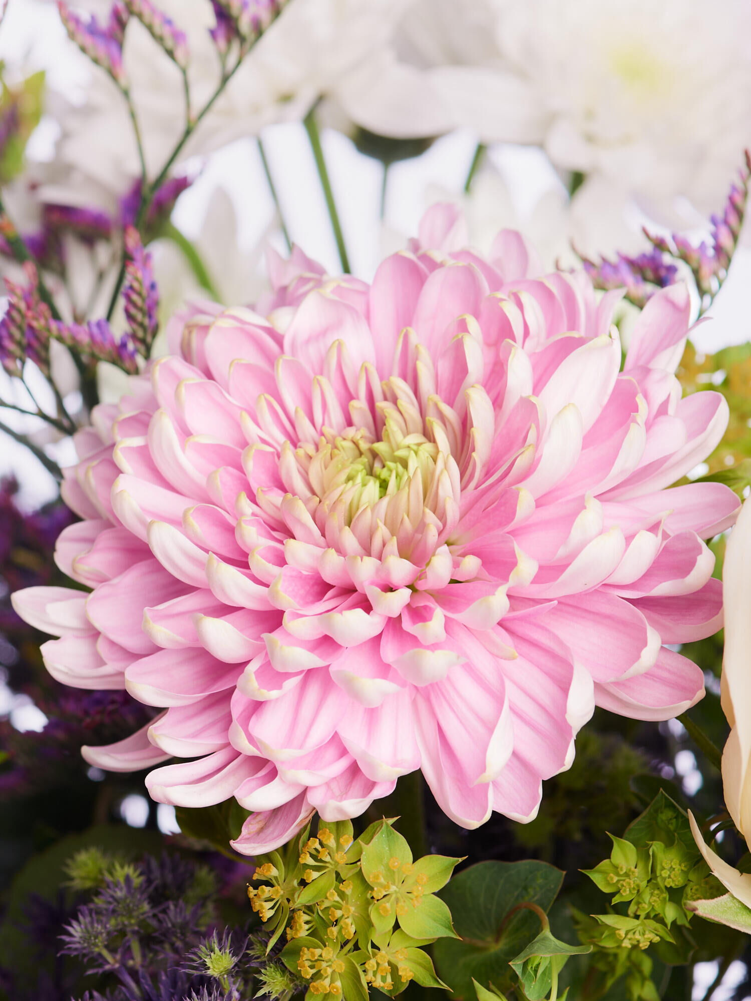 Me Time Moments - Hauptblüte: Chrysanthemen - Hauptfarbe: Rosa
