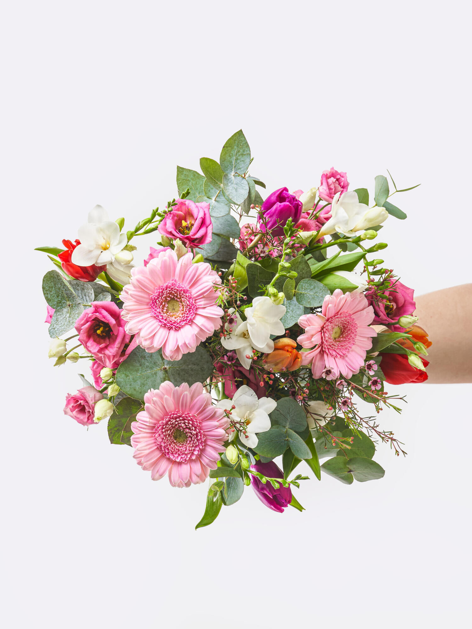 Zartrosa Grüße - Hauptblüte: Eustoma, Freesien, Germini, Tulpen - Hauptfarbe: Pink, Rosa, Weiß