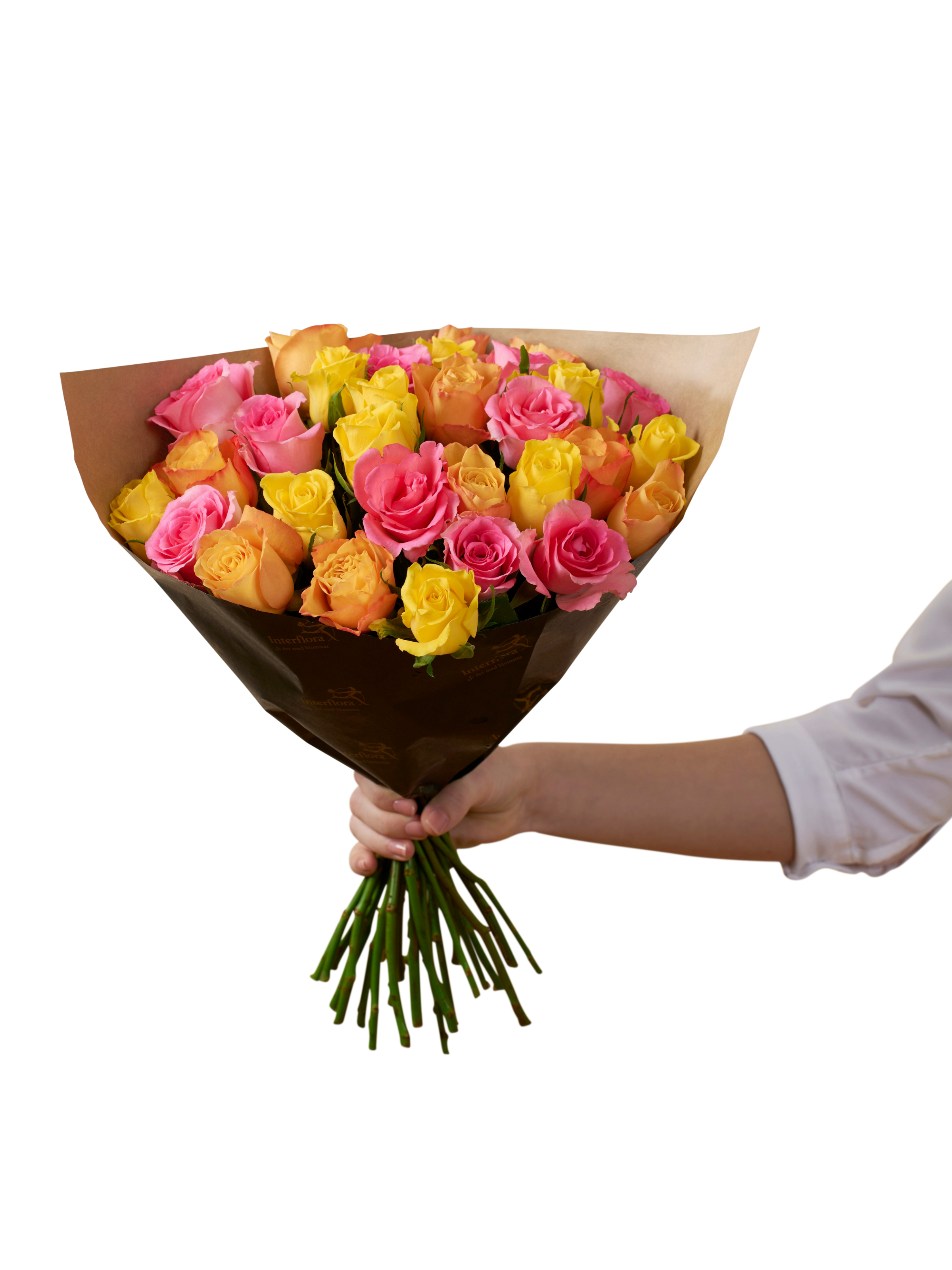 Roses for Spring 242627