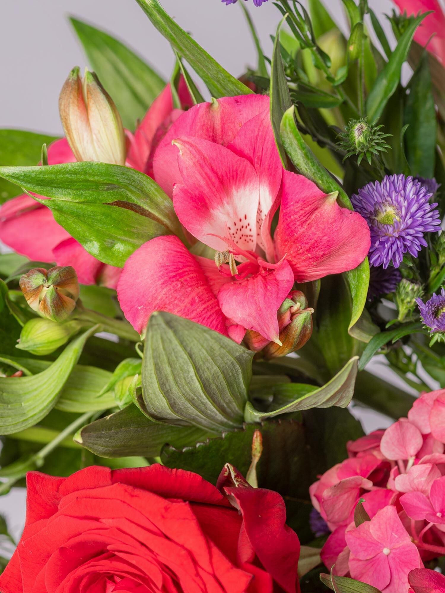 Heartbeat - Hauptblüte: Alstromerien, Hortensien, Rosen - Hauptfarbe: Rosa, Rot