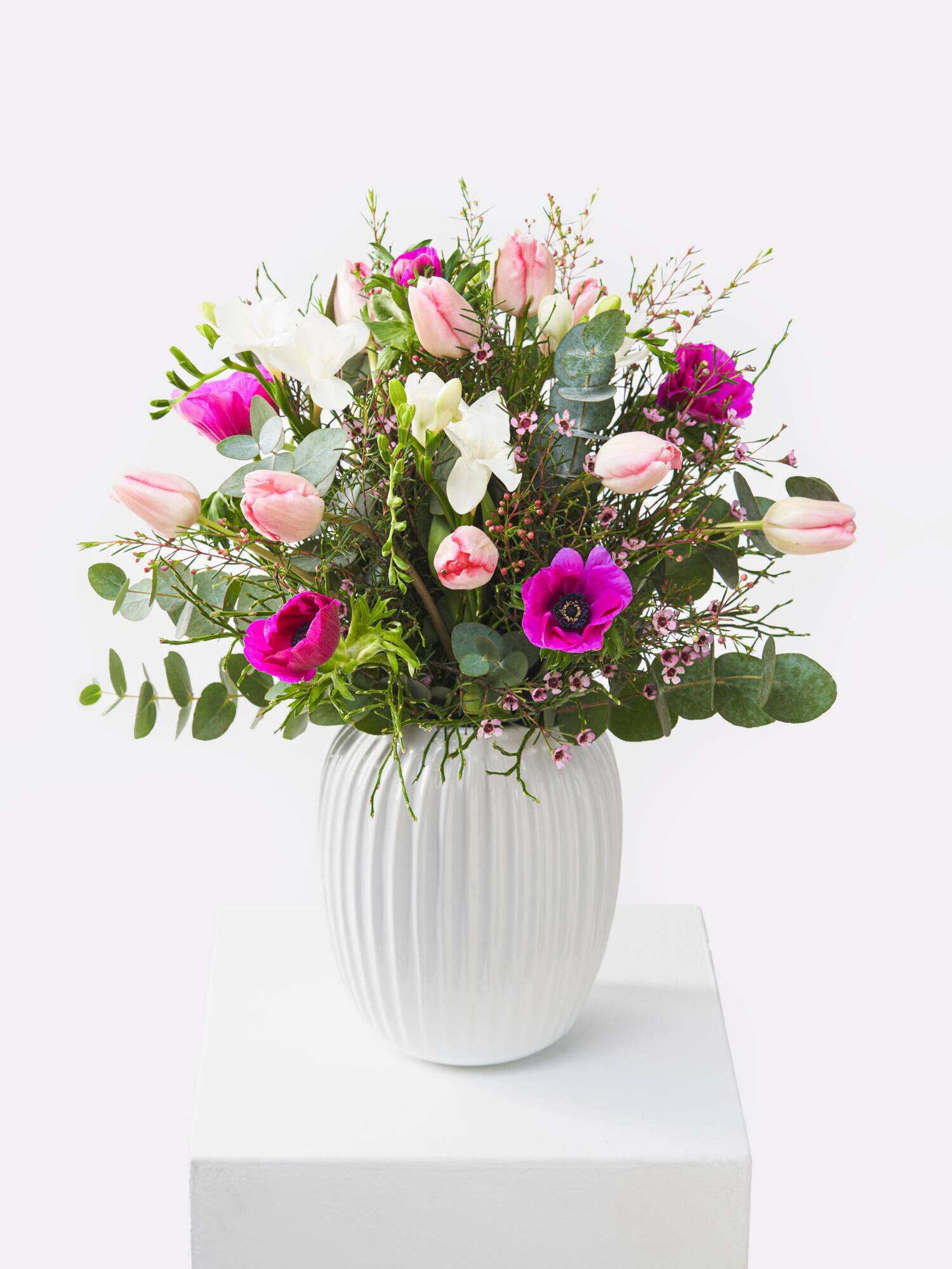 Frühjahrsbote - Hauptblüte: Freesien, Tulpen - Hauptfarbe: Pink, Rosa, Violett