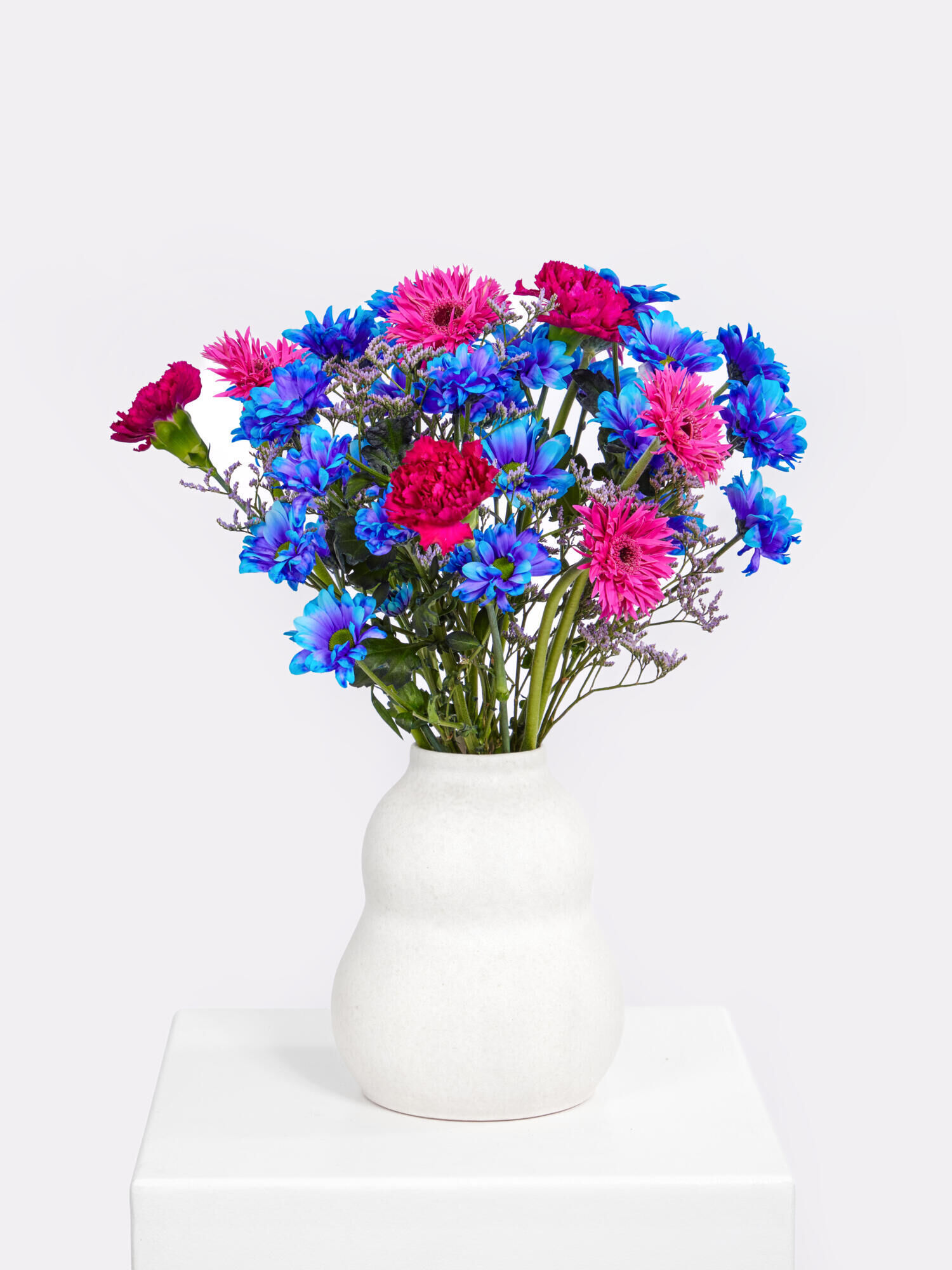 Dopamin Crush - Hauptblüte: Chrysanthemen, Germini, Nelken - Hauptfarbe: Blau, Pink
