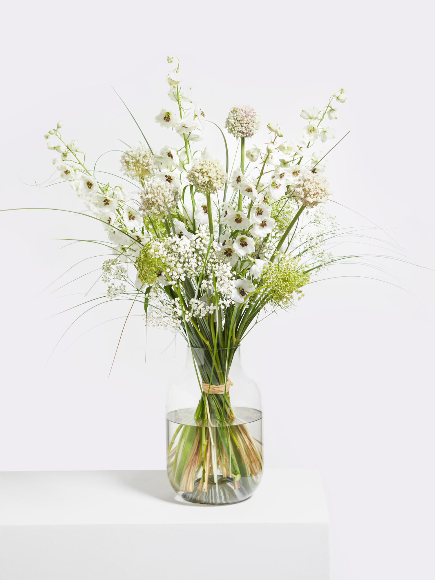 Meadow Dream - Main Colors: WHITE
