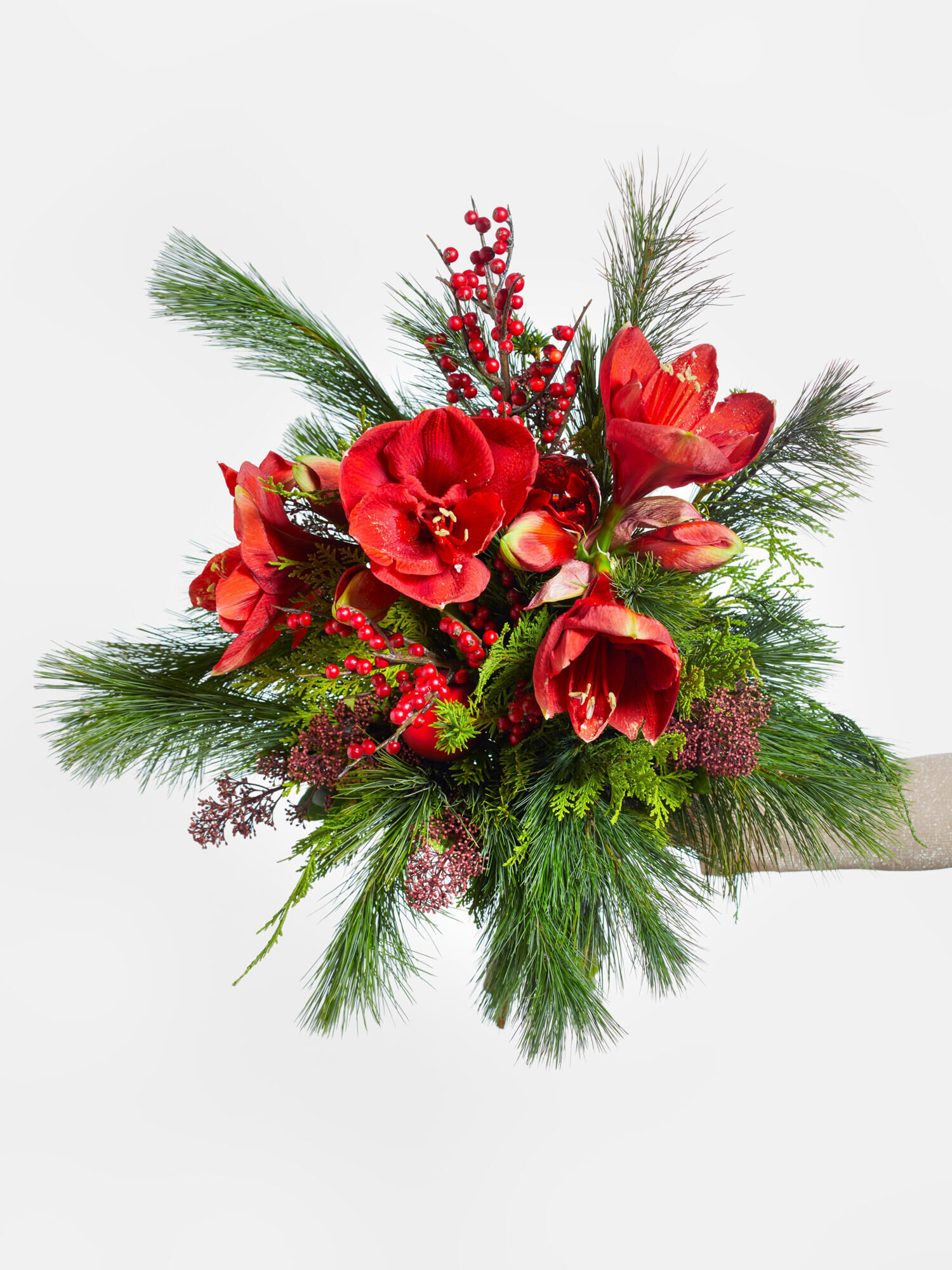 Winter Botschaft - Hauptblüte: Amaryllis - Hauptfarbe: Rot