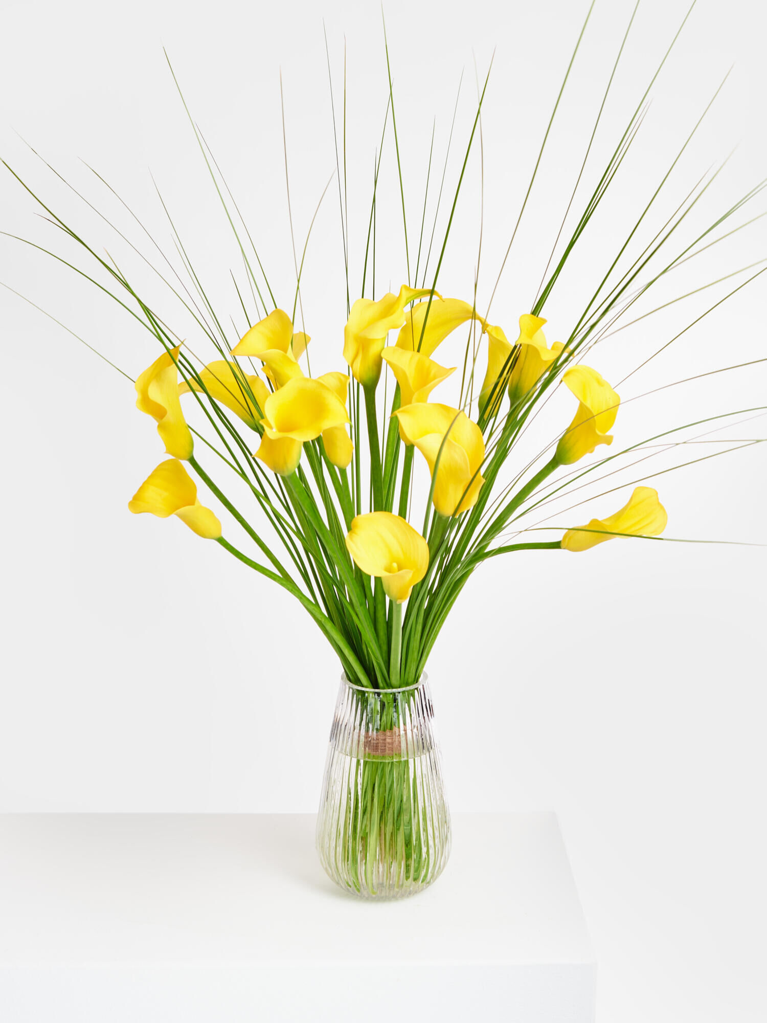 Luminous Bloomy Symphony - Main Colors: YELLOW