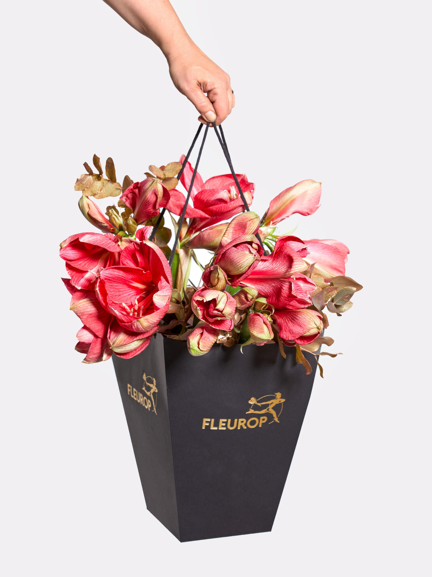 Wintermärchen - Hauptblüte: Amaryllis - Hauptfarbe: Gold, Pink, Rosa