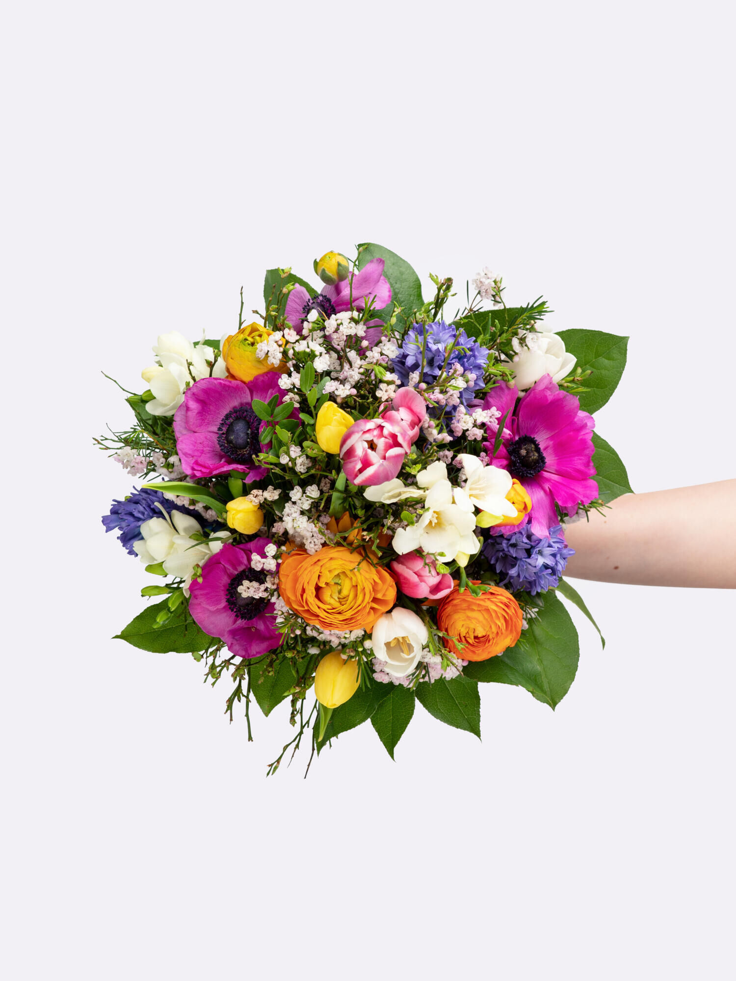 Bunte Freude - Hauptblüte: Freesien, Hyazinthen, Ranunkeln, Tulpen - Hauptfarbe: Bunt