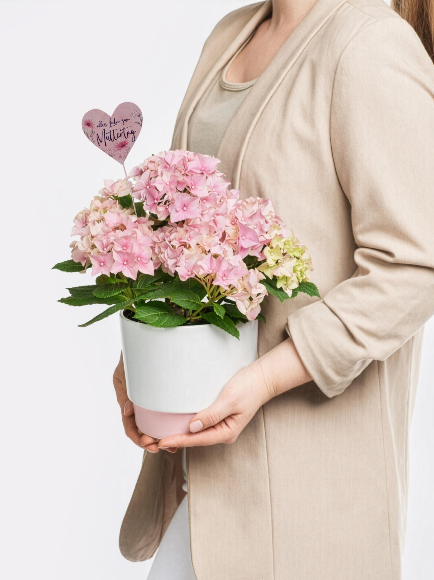 Much Love for Mother's Day - Main Colors: ROSE - Main Flowers: HYDRANGEA