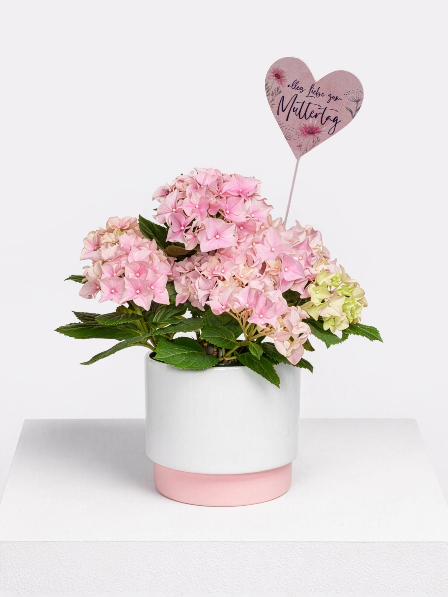 Much Love for Mother's Day - Main Colors: ROSE - Main Flowers: HYDRANGEA
