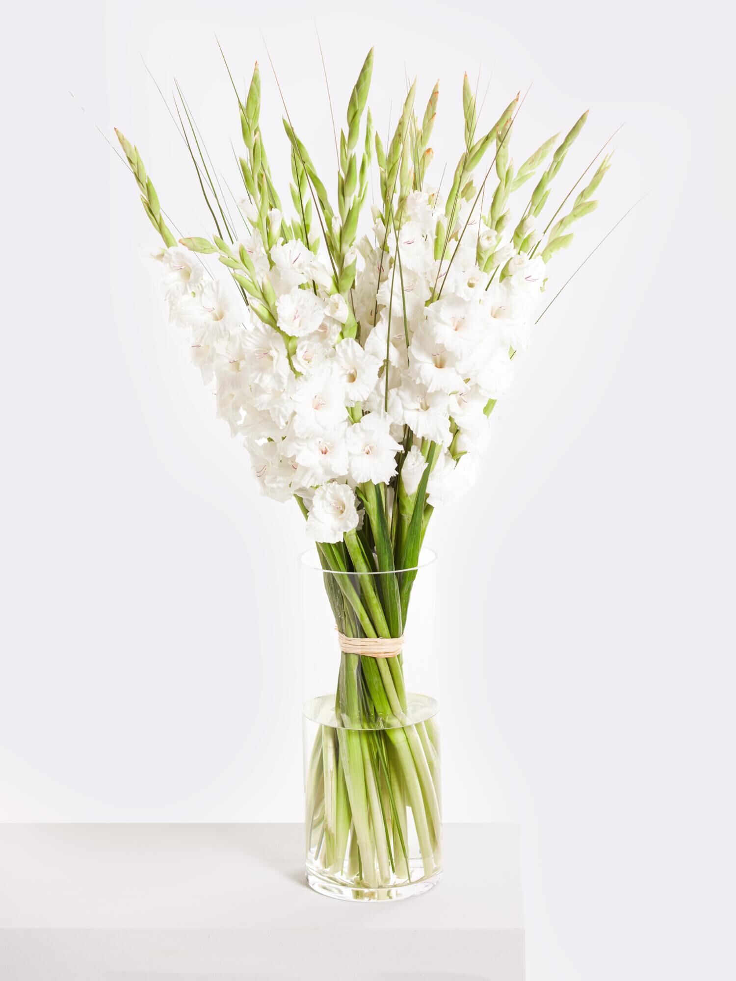 White Summer