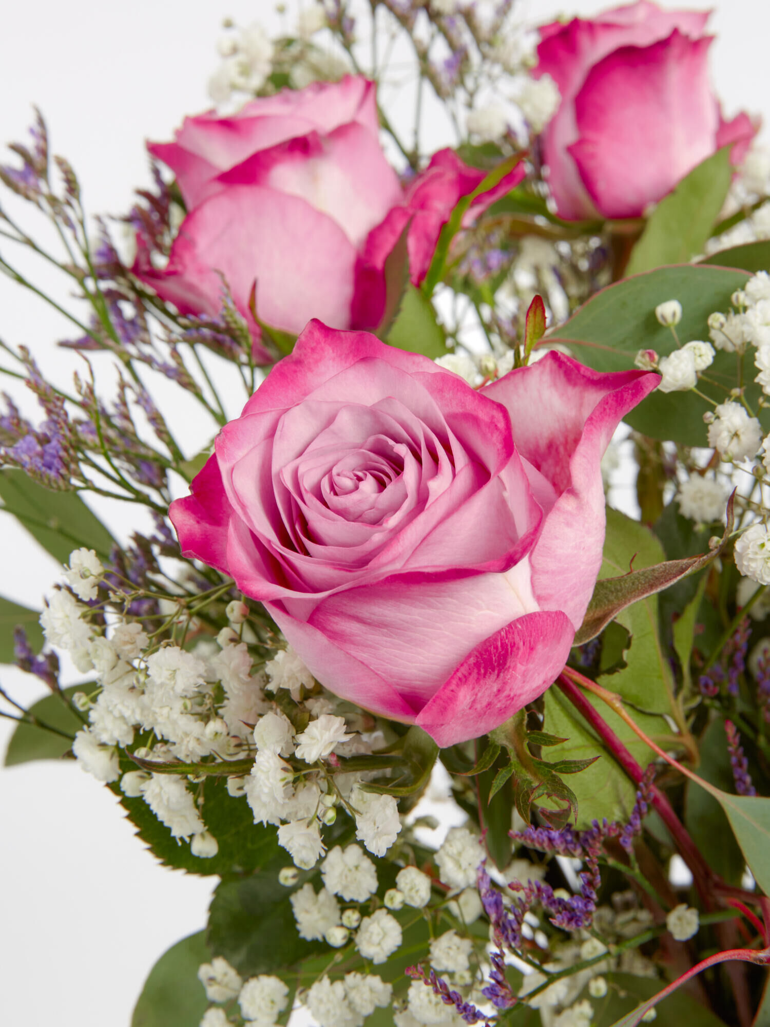 Sweet Memories - Hauptblüte: Rosen - Hauptfarbe: Grün, Rosa, Violett