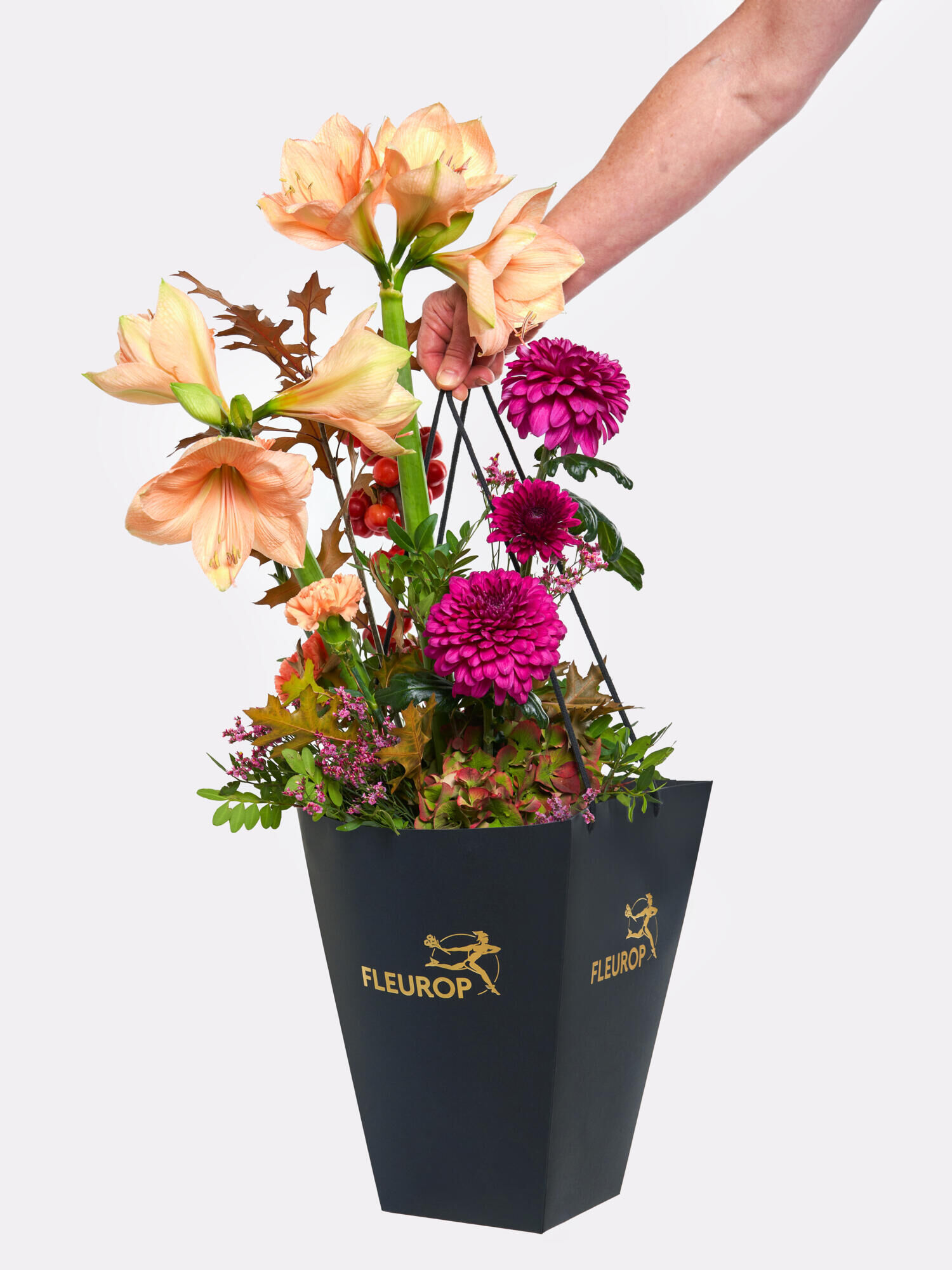 Festive Flower Greeting - Main Colors: APRICOT, PURPLE - Main Flowers: AMARYLLIS, CARNATIONS, CHRYSANTHEMA, HYDRANGEA
