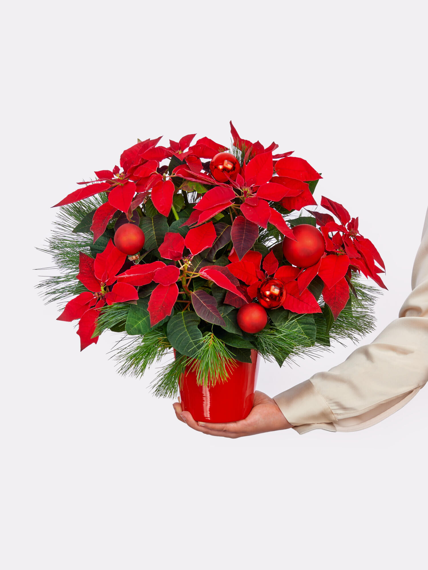 Glücksstern - Hauptfarbe: Rot