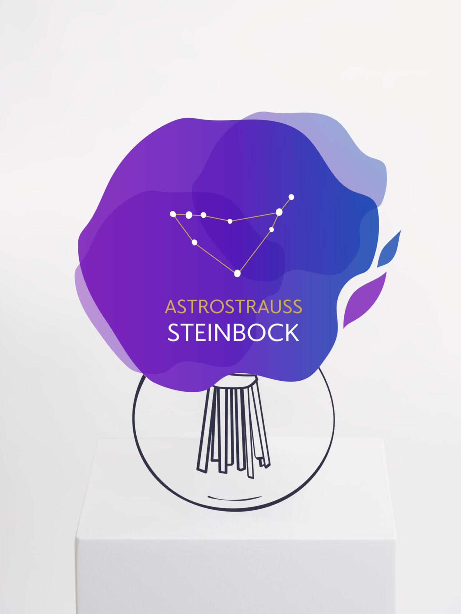 Astrostrauß Steinbock