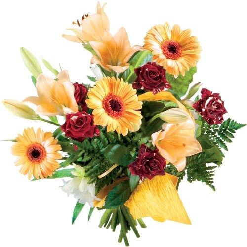 Sunny flowers